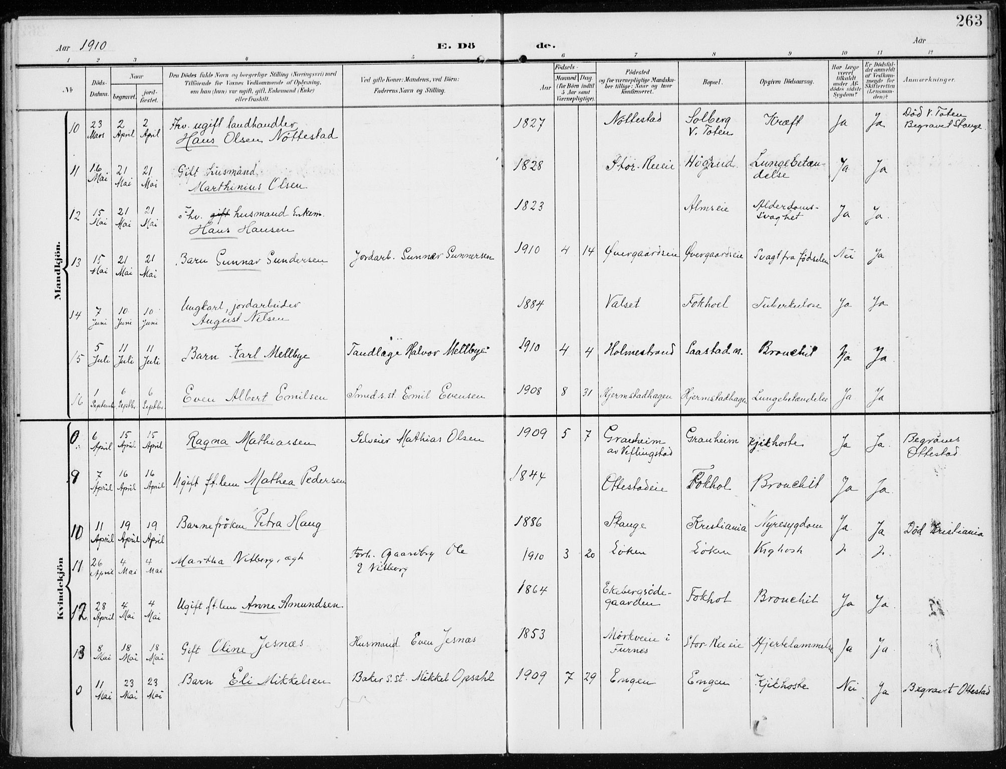 Stange prestekontor, AV/SAH-PREST-002/K/L0024: Parish register (official) no. 24, 1906-1922, p. 263