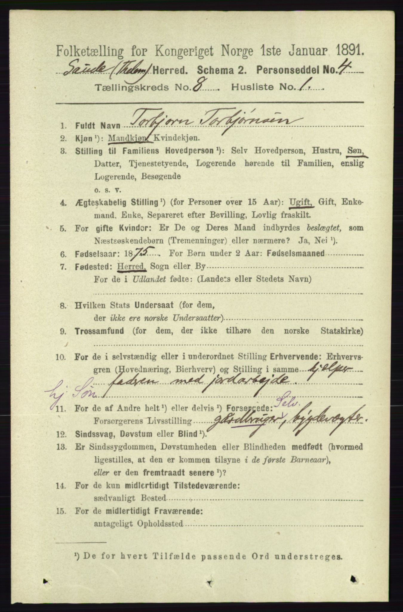 RA, 1891 census for 0822 Sauherad, 1891, p. 2333