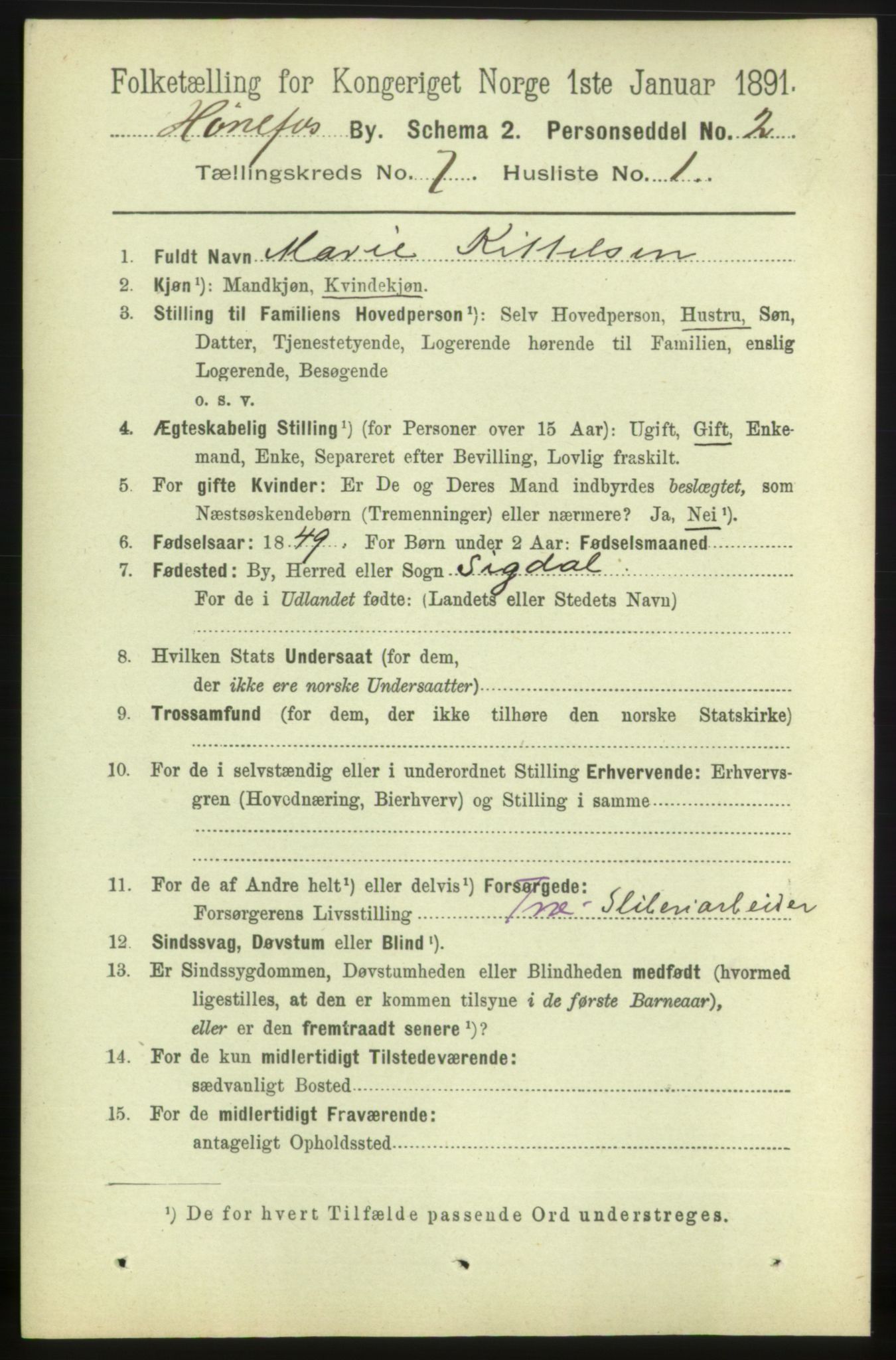 RA, 1891 census for 0601 Hønefoss, 1891, p. 1156