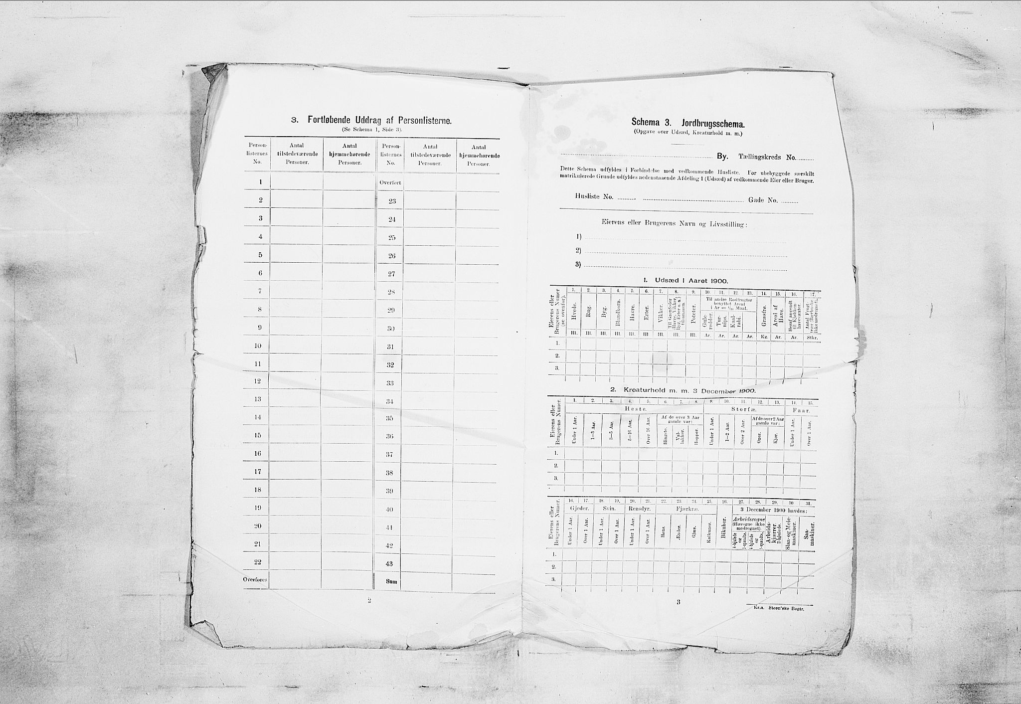 SAKO, 1900 census for Porsgrunn, 1900, p. 3347