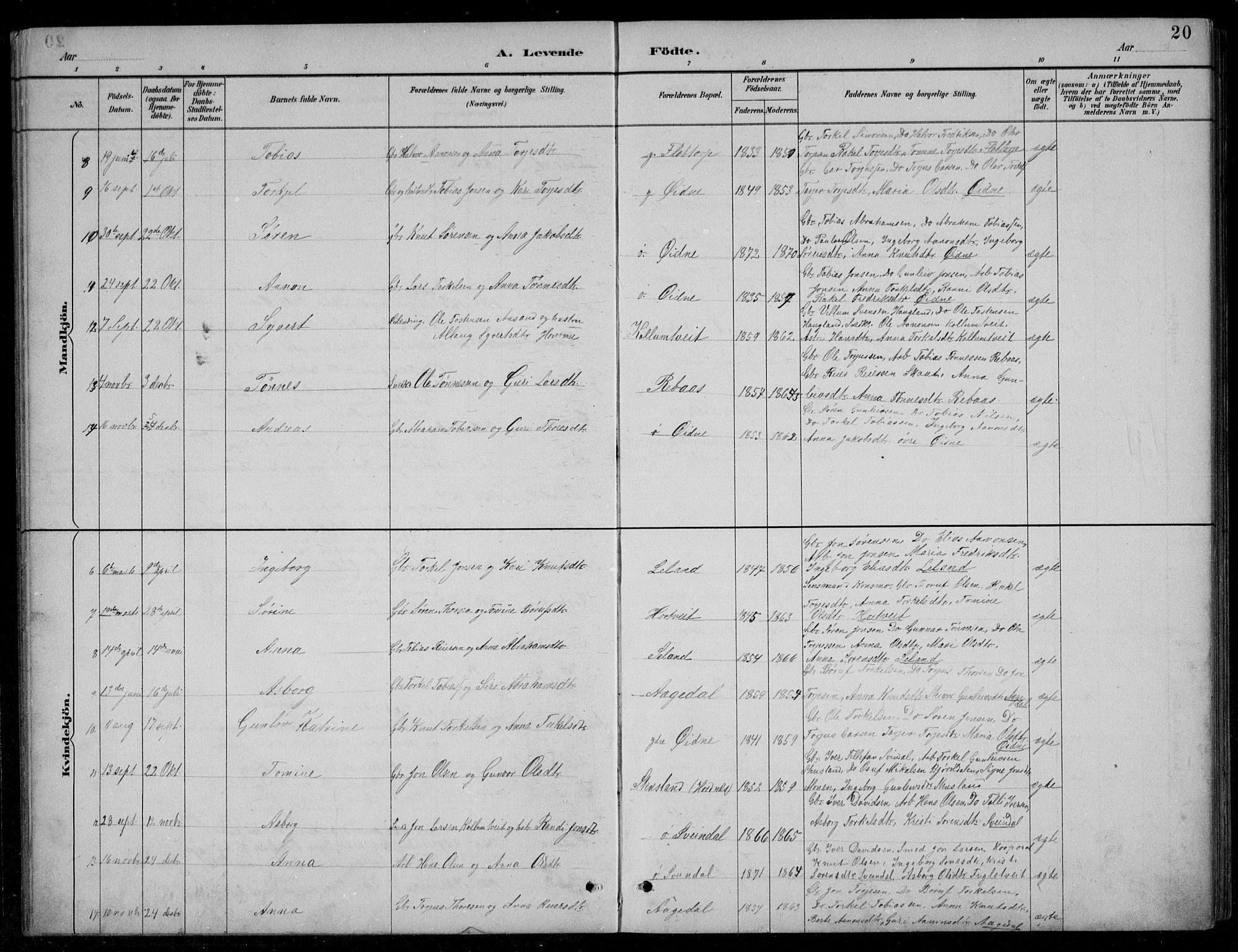 Bjelland sokneprestkontor, SAK/1111-0005/F/Fb/Fbc/L0003: Parish register (copy) no. B 3, 1887-1924, p. 20