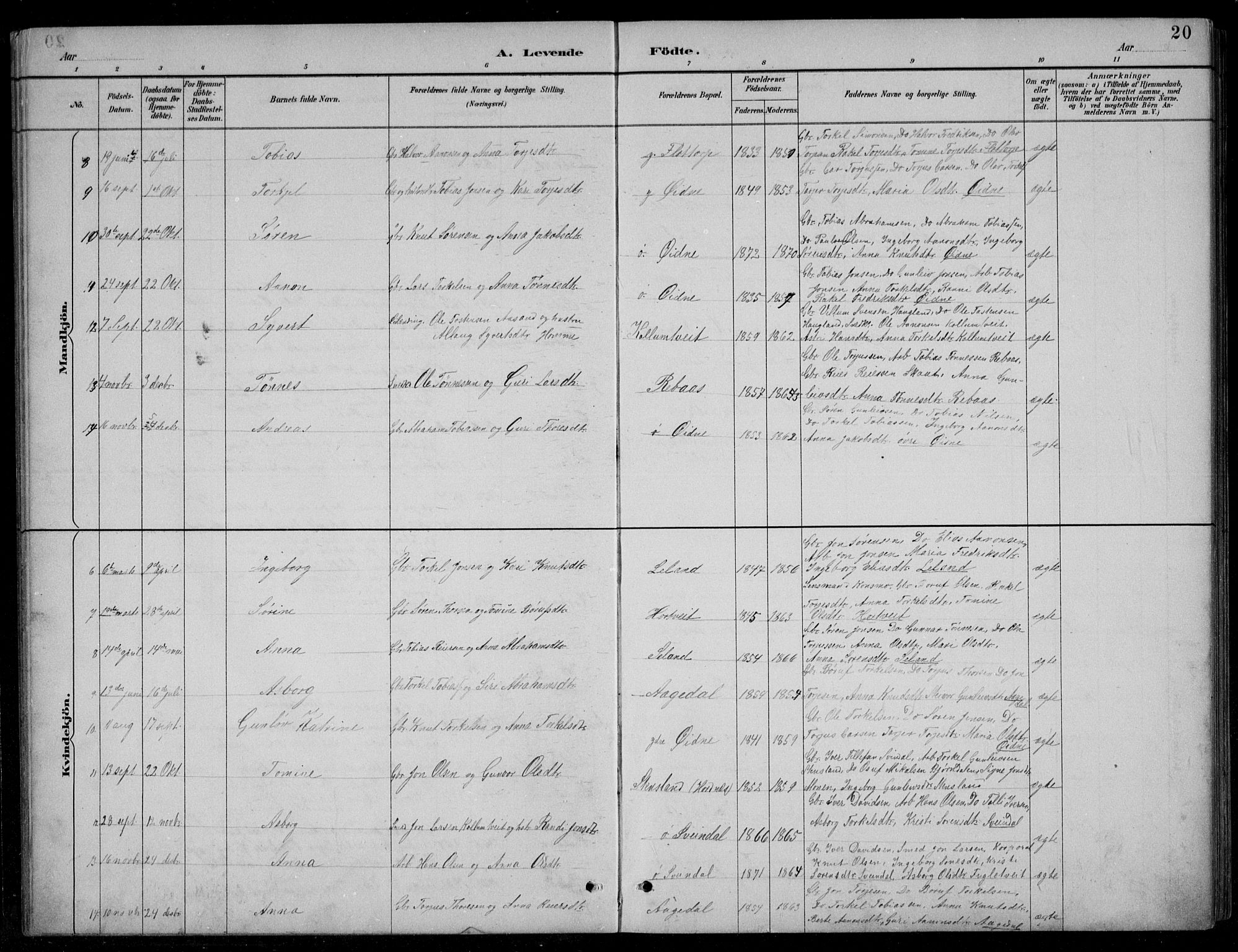 Bjelland sokneprestkontor, AV/SAK-1111-0005/F/Fb/Fbc/L0003: Parish register (copy) no. B 3, 1887-1924, p. 20