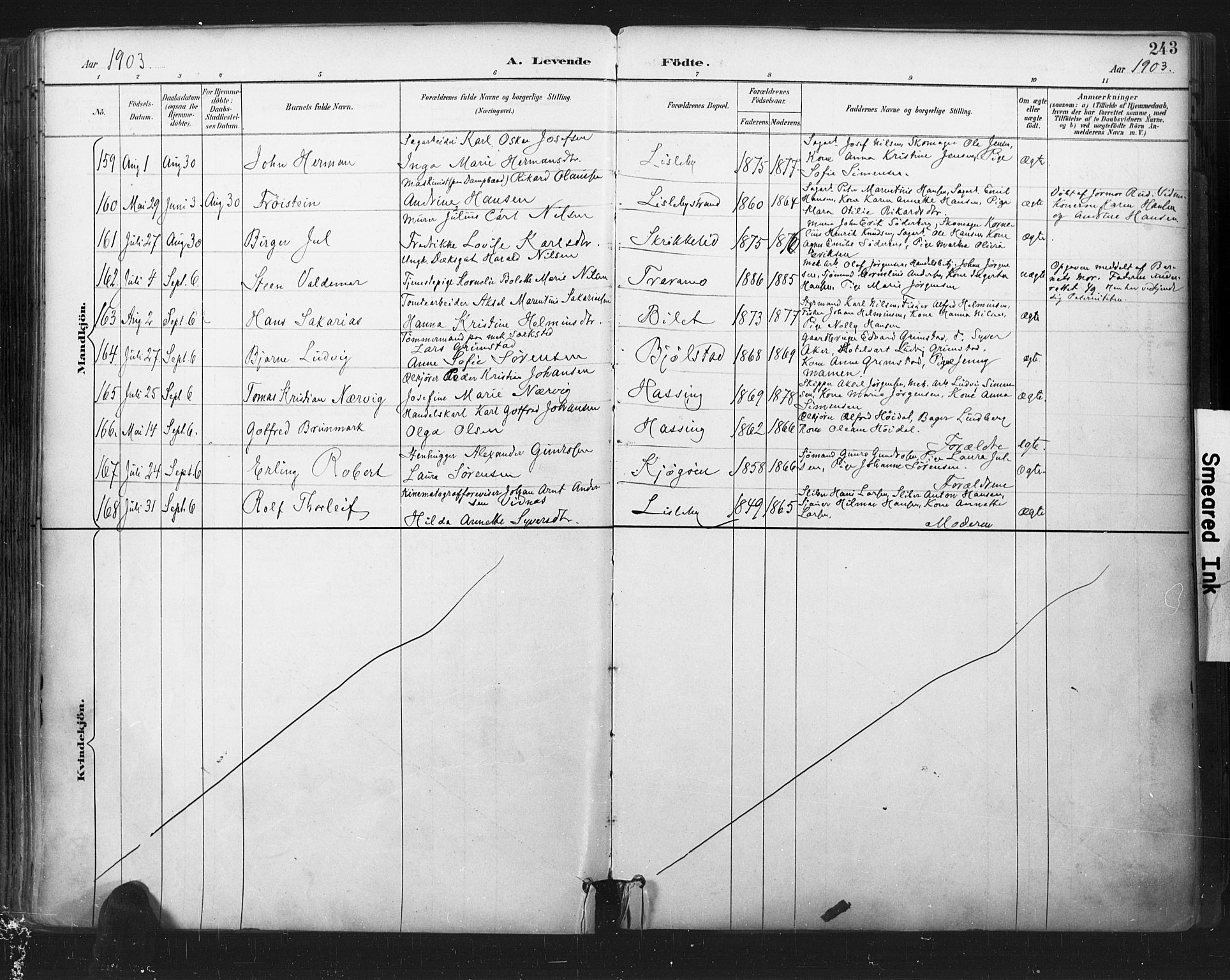 Glemmen prestekontor Kirkebøker, SAO/A-10908/F/Fa/L0013: Parish register (official) no. 13, 1892-1907, p. 243