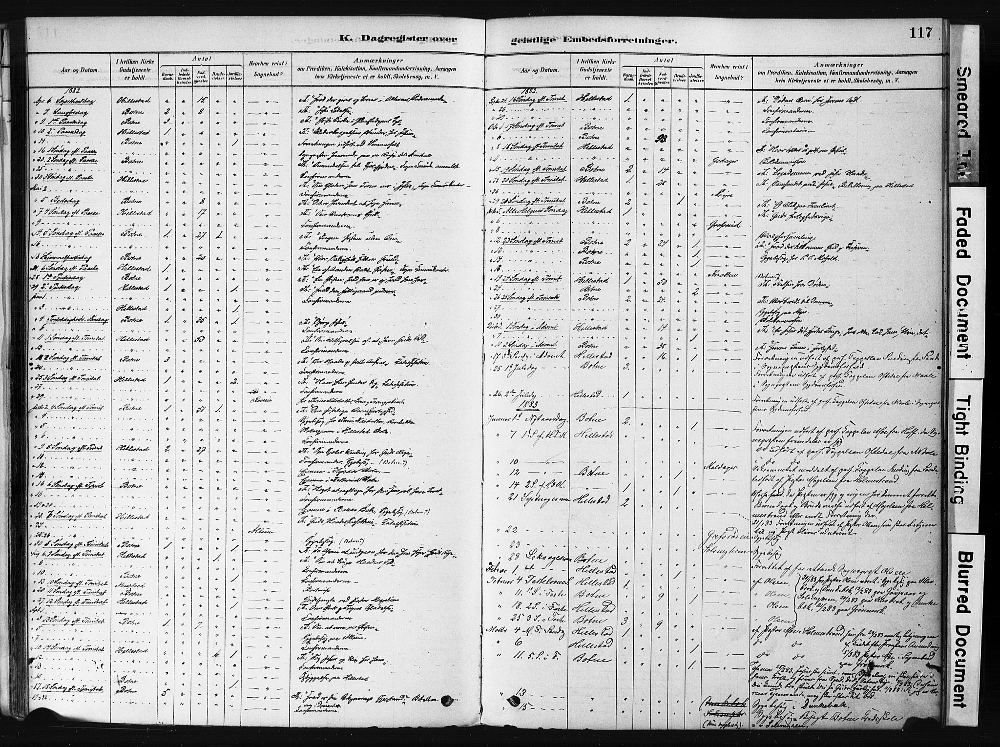 Botne kirkebøker, AV/SAKO-A-340/F/Fb/L0001: Parish register (official) no. II 1, 1878-1902, p. 117