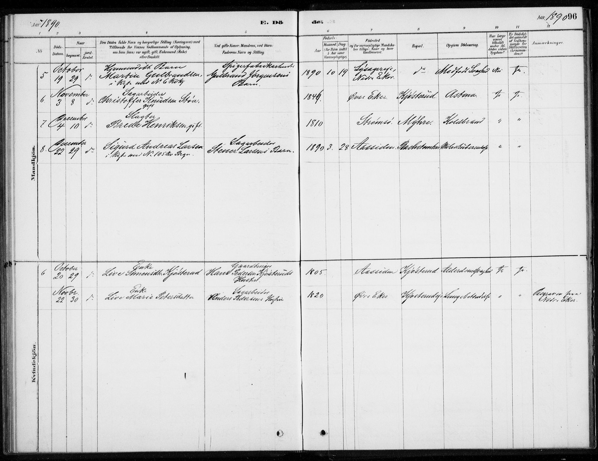 Åssiden kirkebøker, AV/SAKO-A-251/F/Fa/L0001: Parish register (official) no. 1, 1878-1904, p. 96