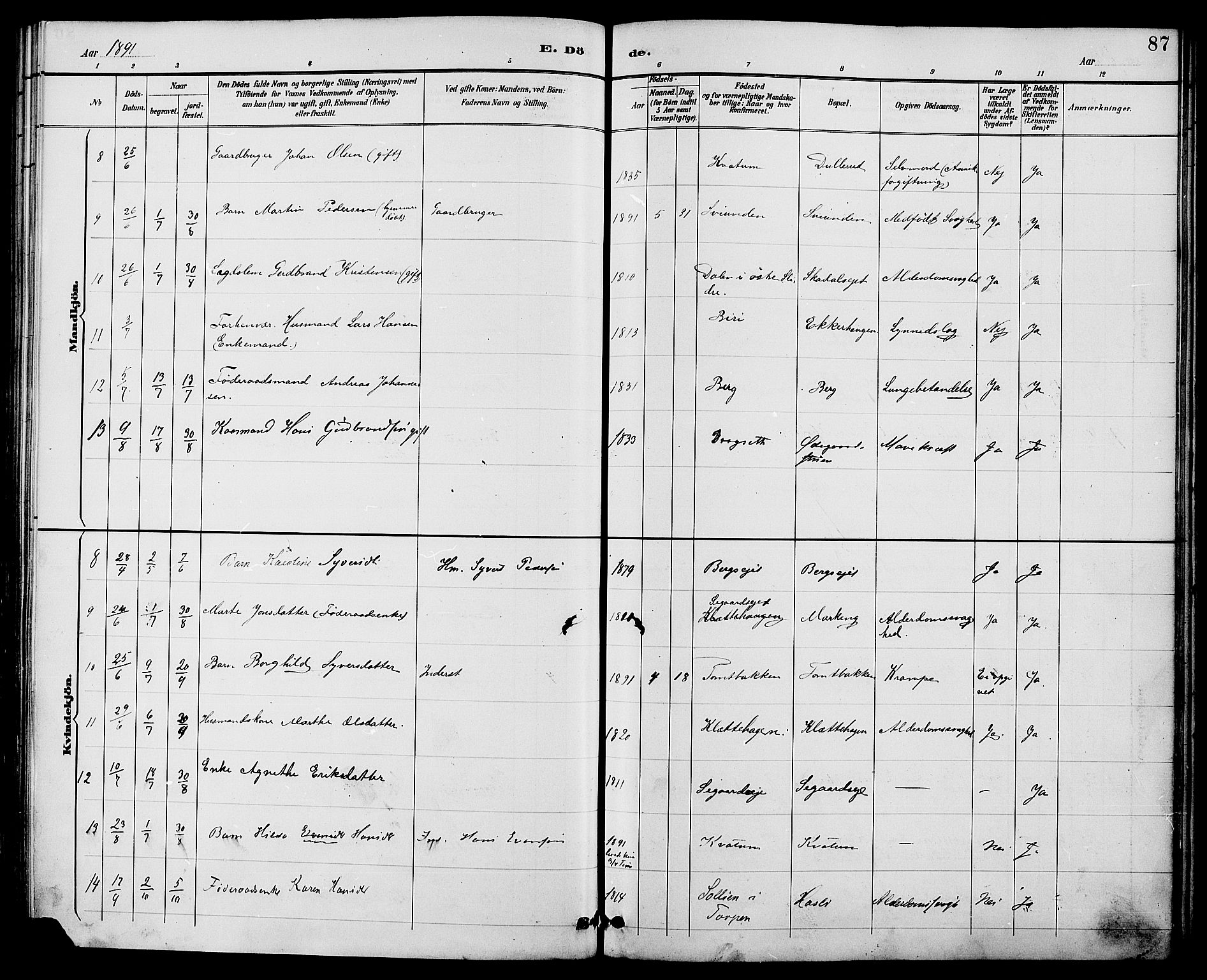 Biri prestekontor, SAH/PREST-096/H/Ha/Haa/L0007: Parish register (official) no. 7, 1887-1893, p. 87