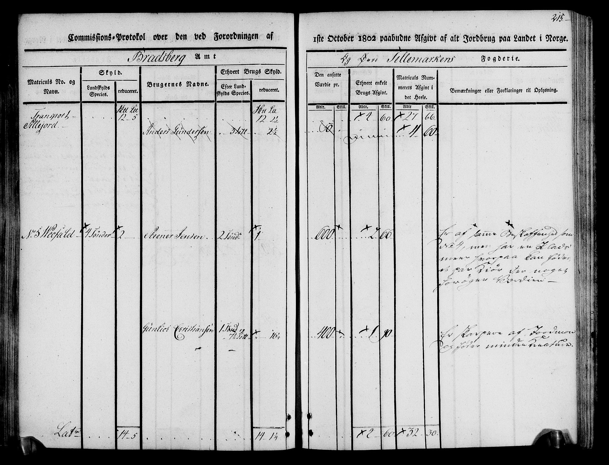 Rentekammeret inntil 1814, Realistisk ordnet avdeling, AV/RA-EA-4070/N/Ne/Nea/L0074: Øvre Telemarken fogderi. Kommisjonsprotokoll for fogderiets østre del - Tinn, Hjartdal og Seljord prestegjeld., 1803, p. 215