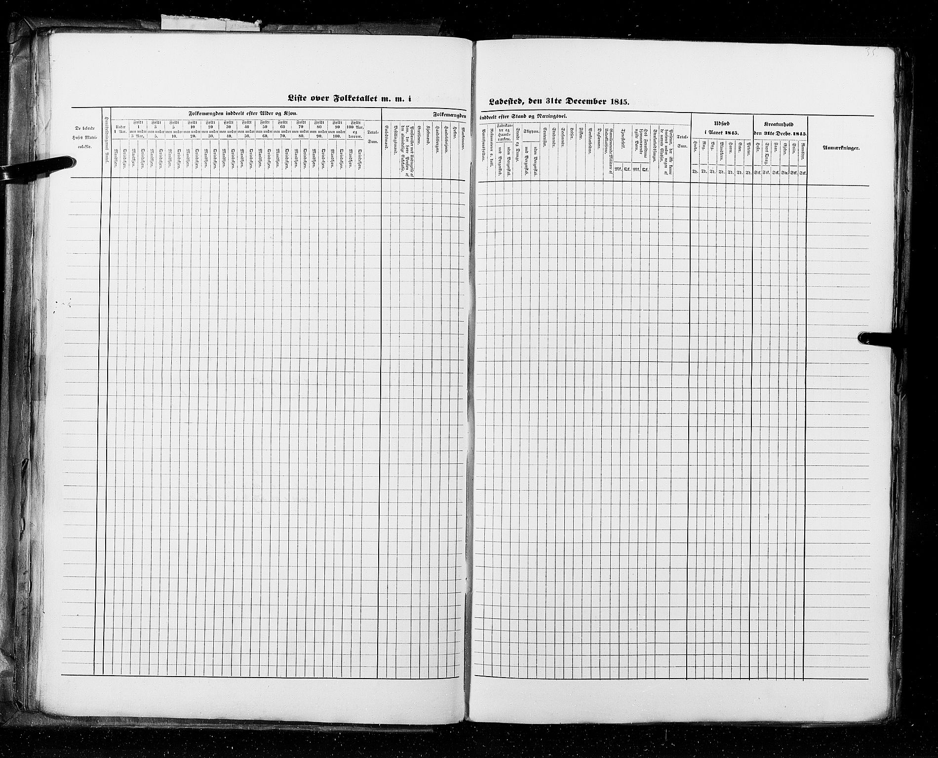 RA, Census 1845, vol. 11: Cities, 1845, p. 35