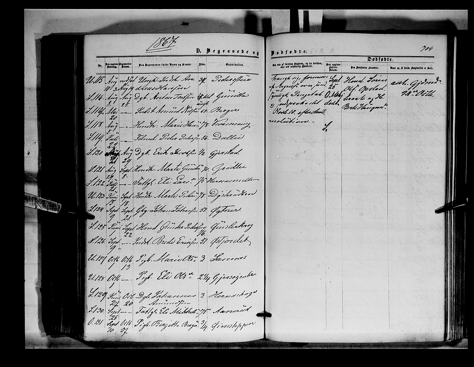 Sør-Odal prestekontor, AV/SAH-PREST-030/H/Ha/Haa/L0003: Parish register (official) no. 3, 1864-1870, p. 304