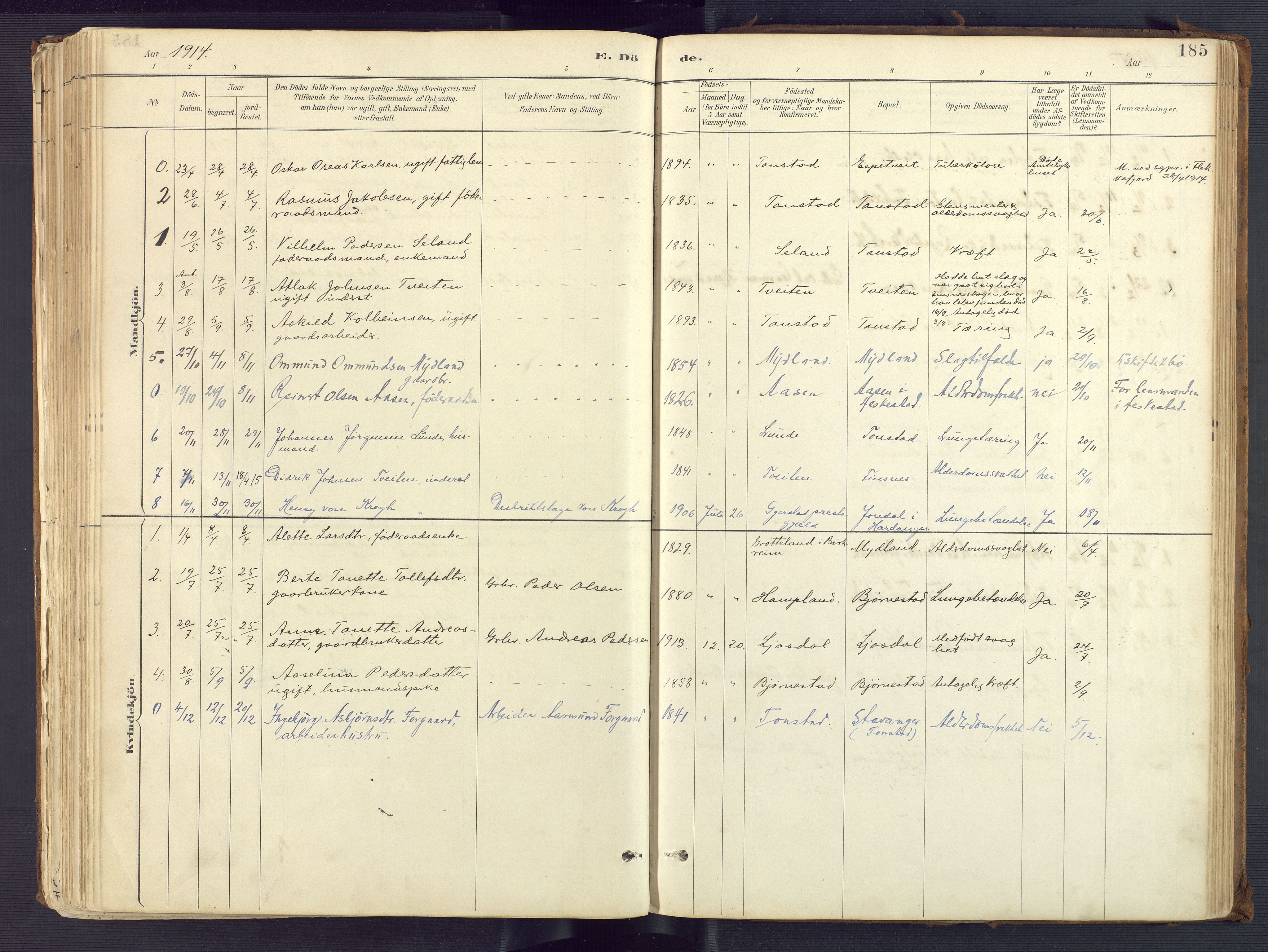 Sirdal sokneprestkontor, AV/SAK-1111-0036/F/Fa/Fab/L0004: Parish register (official) no. A 4, 1887-1919, p. 185