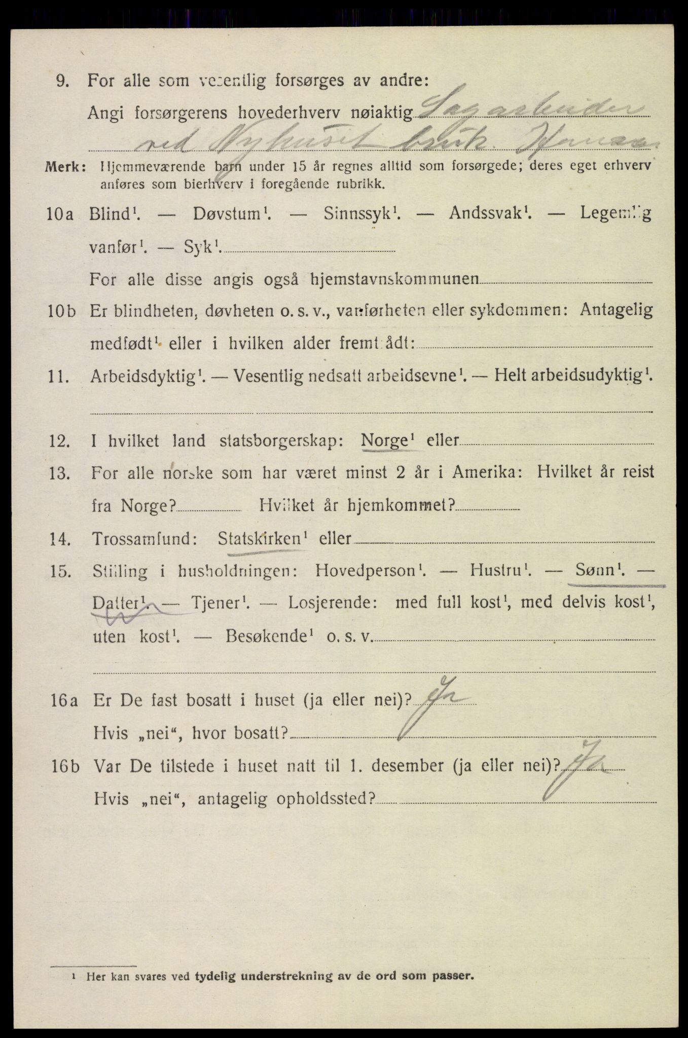SAH, 1920 census for Furnes, 1920, p. 3432