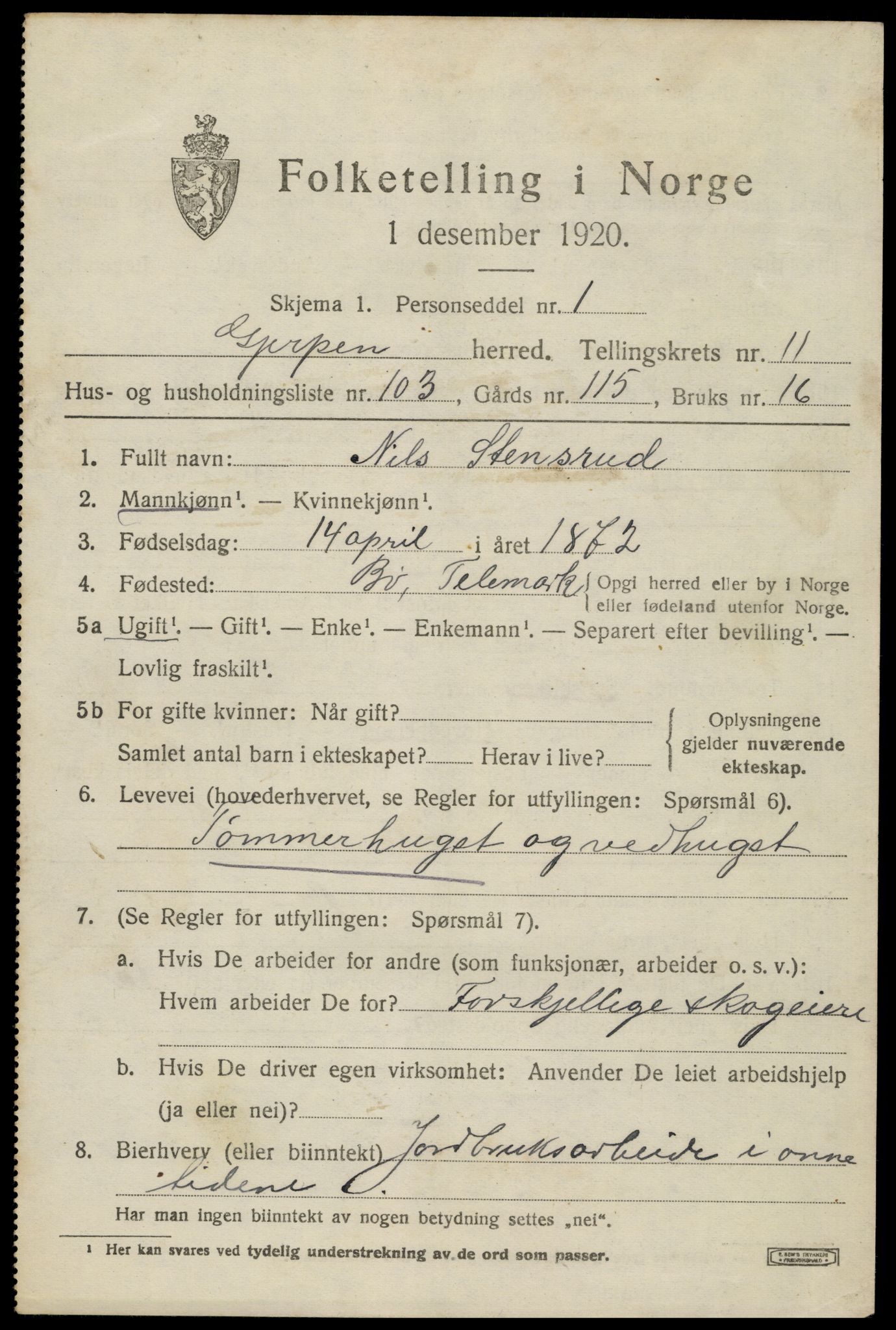 SAKO, 1920 census for Gjerpen, 1920, p. 13570
