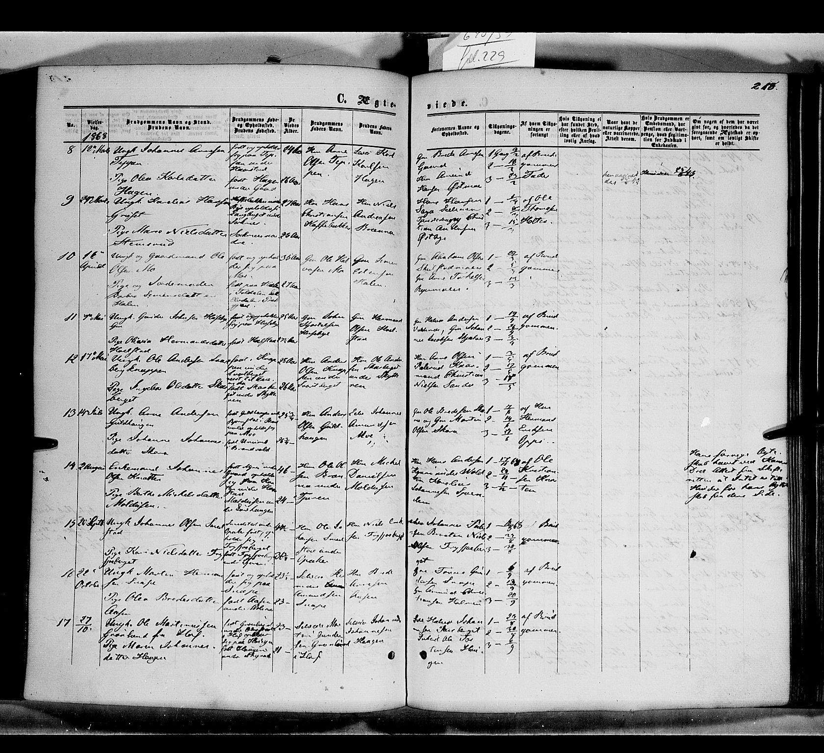 Grue prestekontor, AV/SAH-PREST-036/H/Ha/Haa/L0010: Parish register (official) no. 10, 1864-1873, p. 218