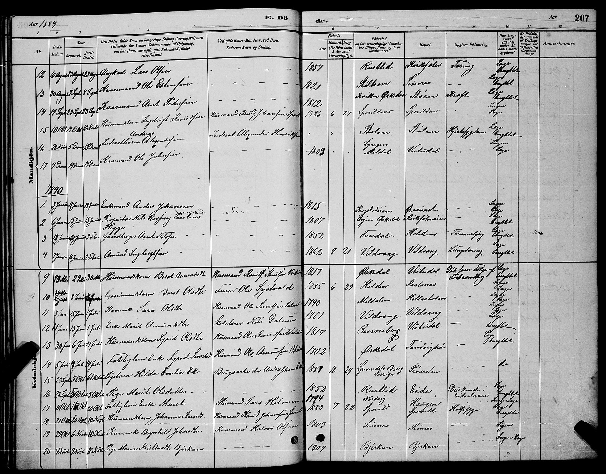 Ministerialprotokoller, klokkerbøker og fødselsregistre - Sør-Trøndelag, SAT/A-1456/630/L0504: Parish register (copy) no. 630C02, 1879-1898, p. 207