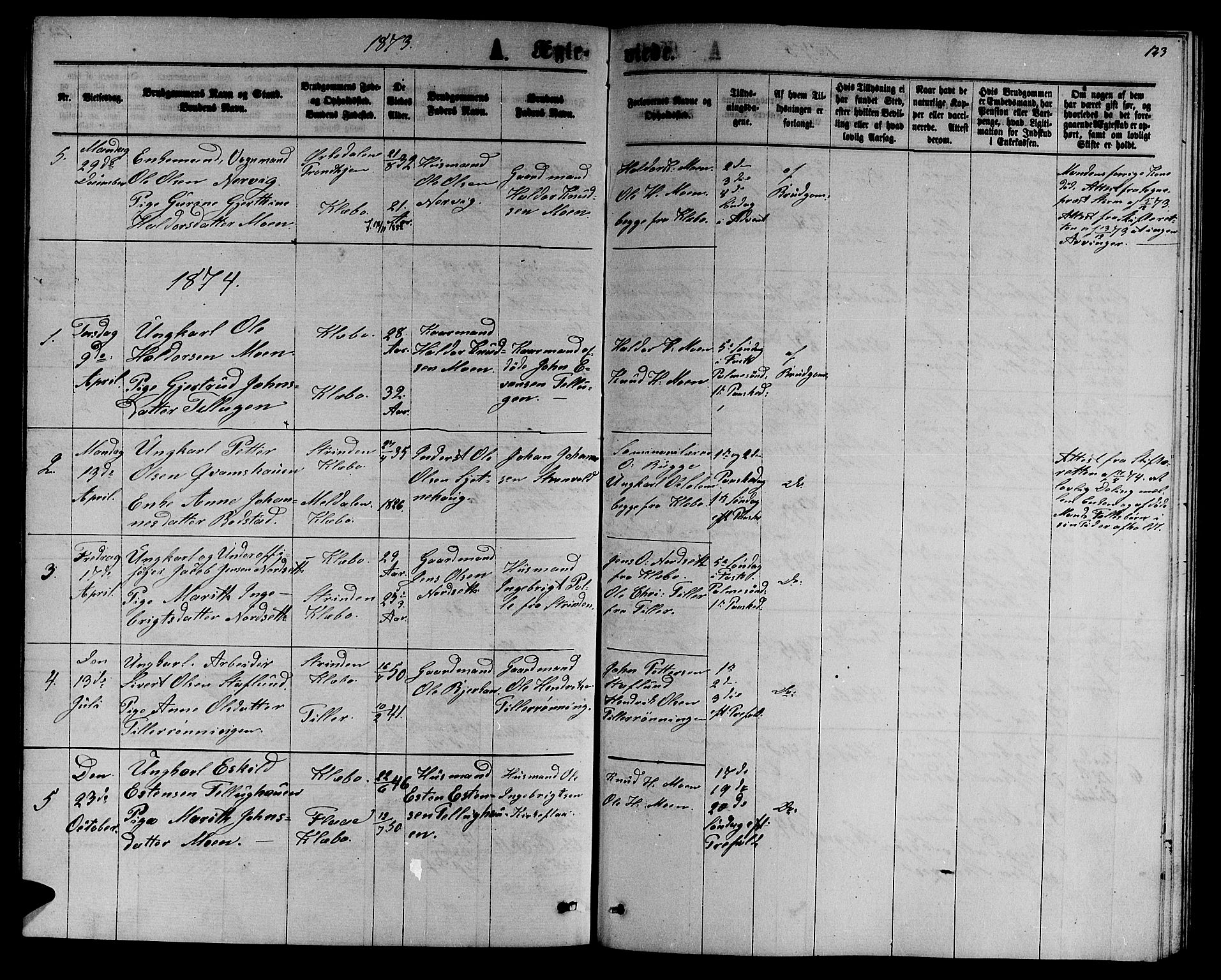 Ministerialprotokoller, klokkerbøker og fødselsregistre - Sør-Trøndelag, SAT/A-1456/618/L0451: Parish register (copy) no. 618C02, 1865-1883, p. 123