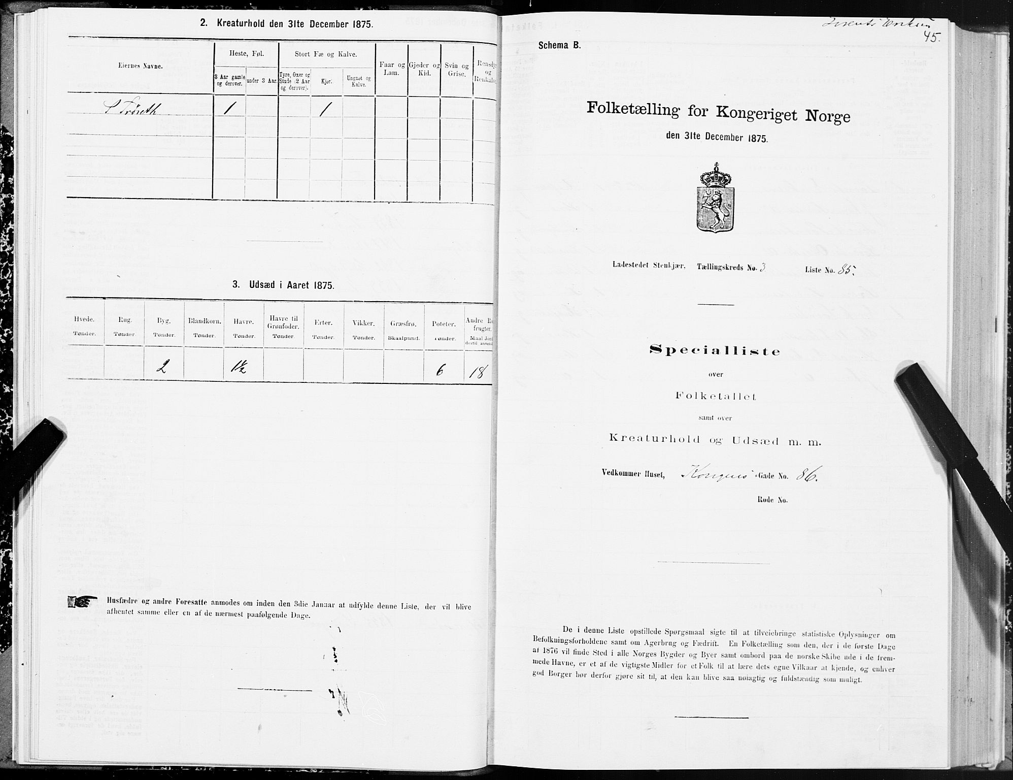 SAT, 1875 census for 1702B Steinkjer/Steinkjer, 1875, p. 45