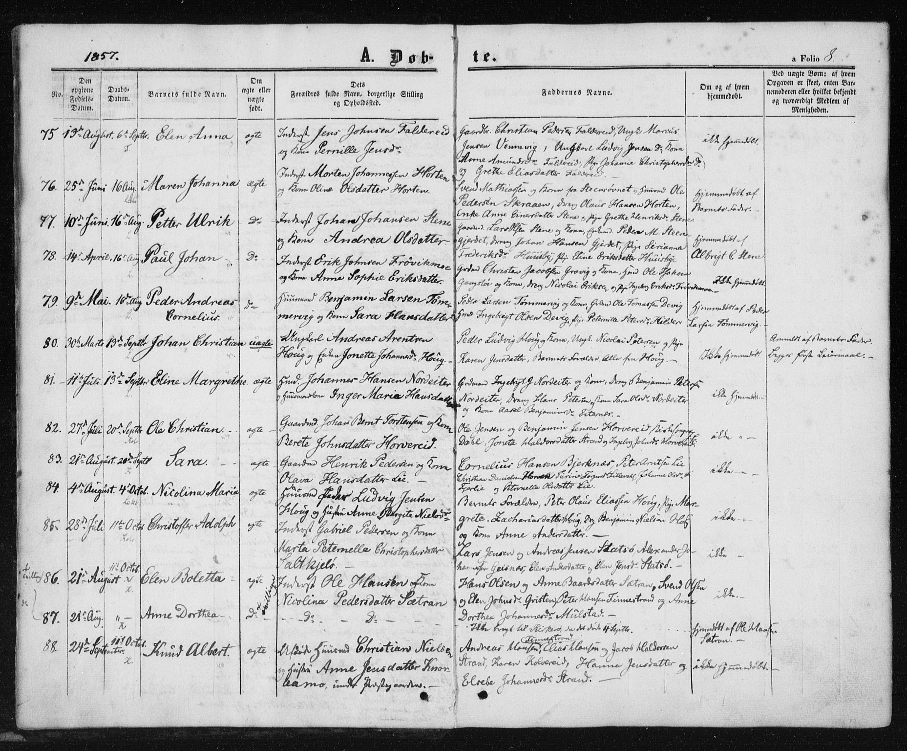 Ministerialprotokoller, klokkerbøker og fødselsregistre - Nord-Trøndelag, SAT/A-1458/780/L0641: Parish register (official) no. 780A06, 1857-1874, p. 8