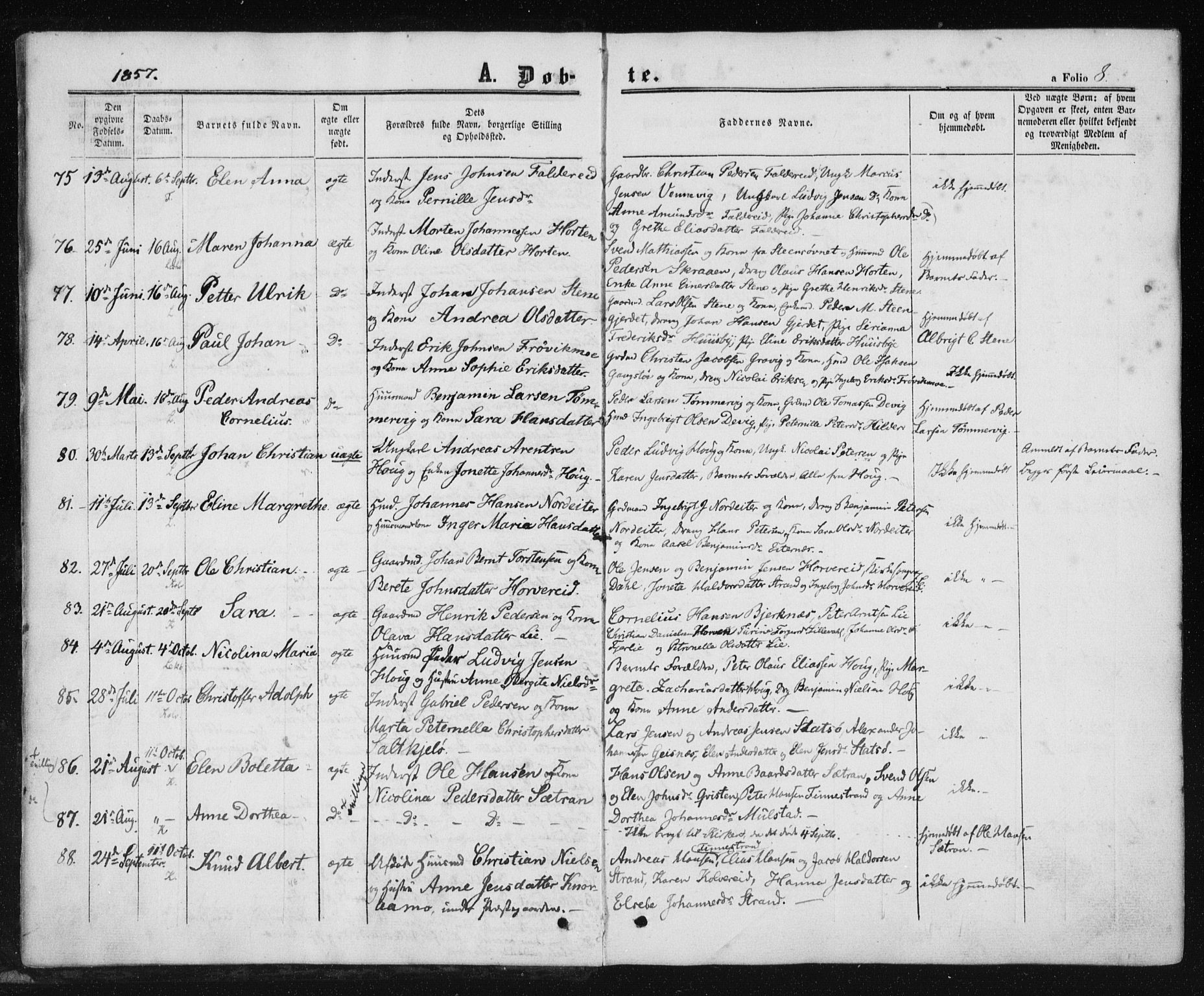 Ministerialprotokoller, klokkerbøker og fødselsregistre - Nord-Trøndelag, AV/SAT-A-1458/780/L0641: Parish register (official) no. 780A06, 1857-1874, p. 8