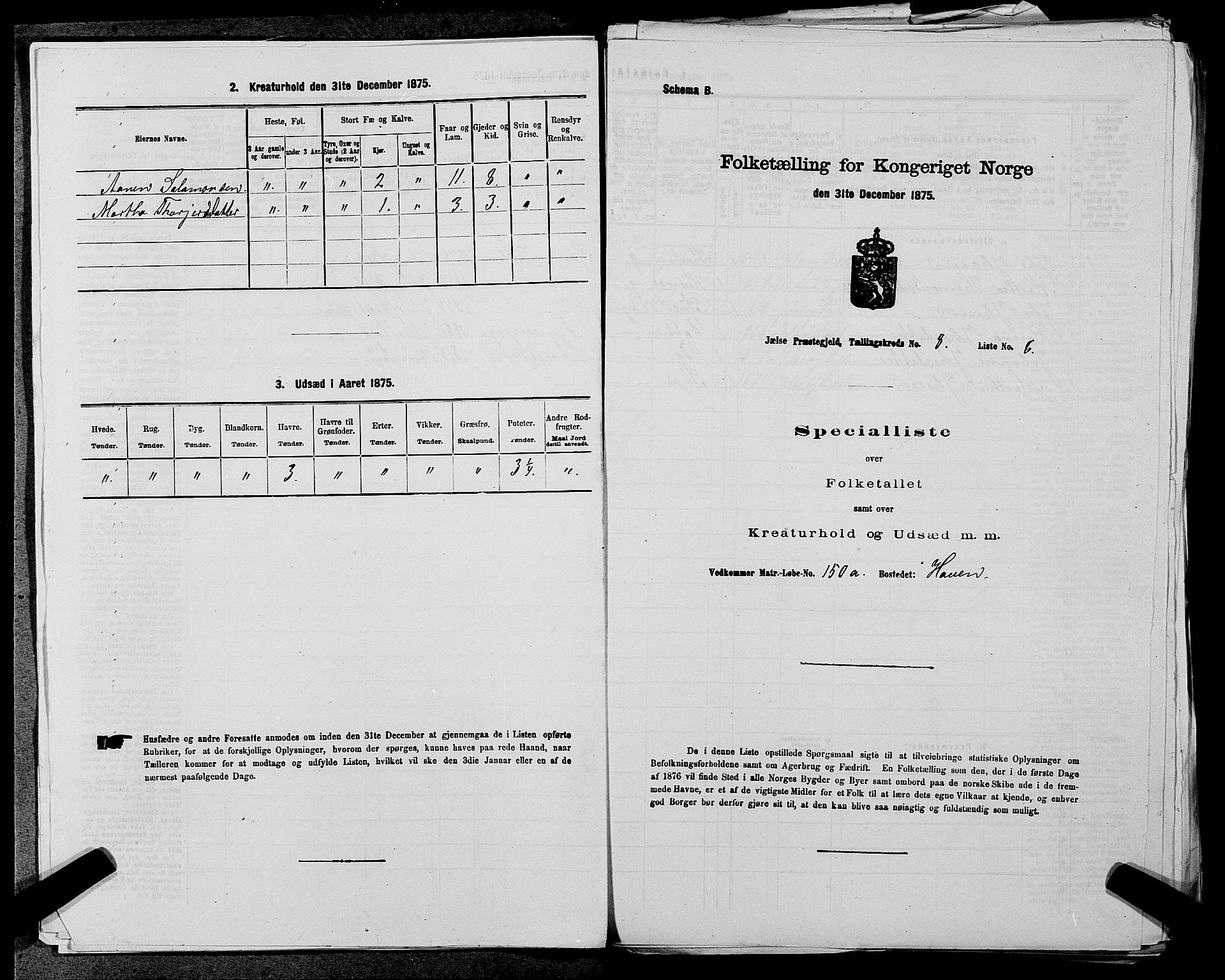 SAST, 1875 census for 1138P Jelsa, 1875, p. 679