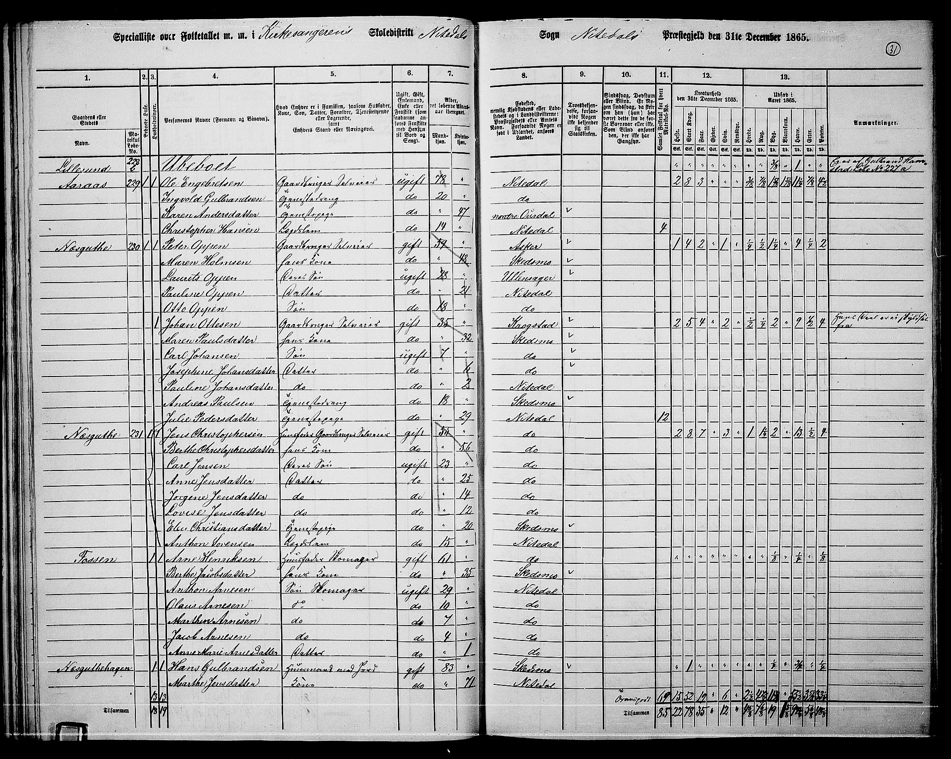 RA, 1865 census for Nittedal, 1865, p. 32