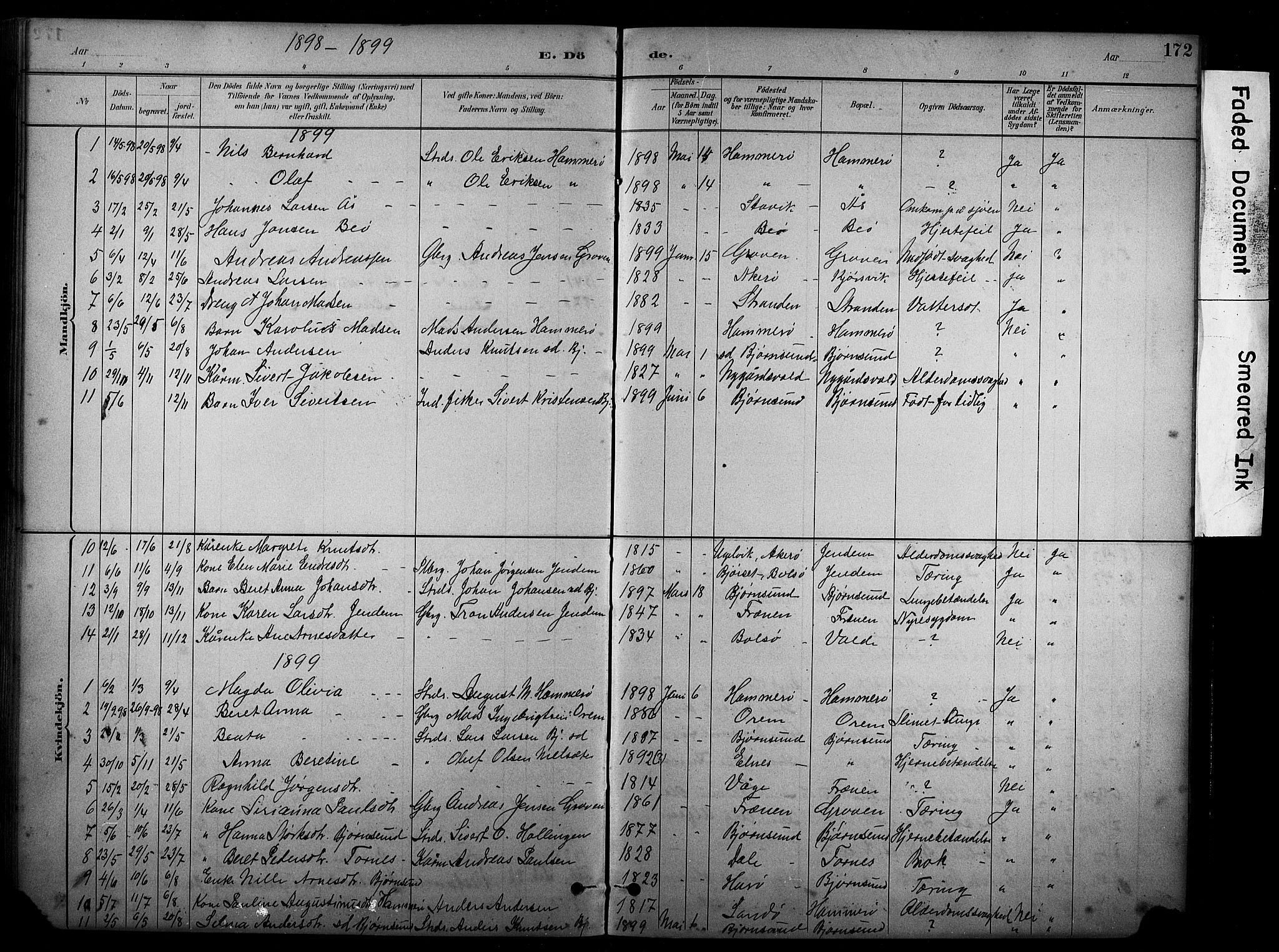 Ministerialprotokoller, klokkerbøker og fødselsregistre - Møre og Romsdal, SAT/A-1454/565/L0755: Parish register (copy) no. 565C04, 1883-1903, p. 172