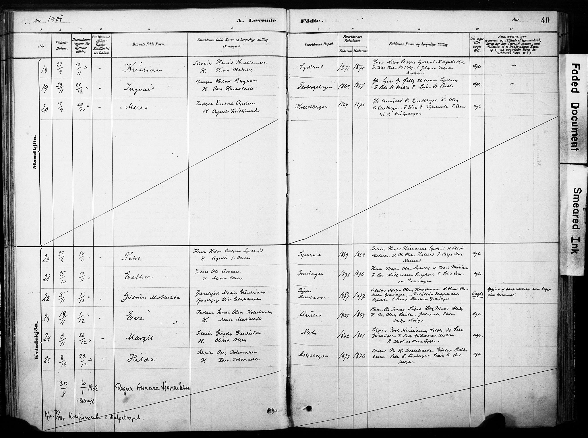 Hof prestekontor, AV/SAH-PREST-038/H/Ha/Haa/L0011: Parish register (official) no. 11, 1879-1911, p. 49