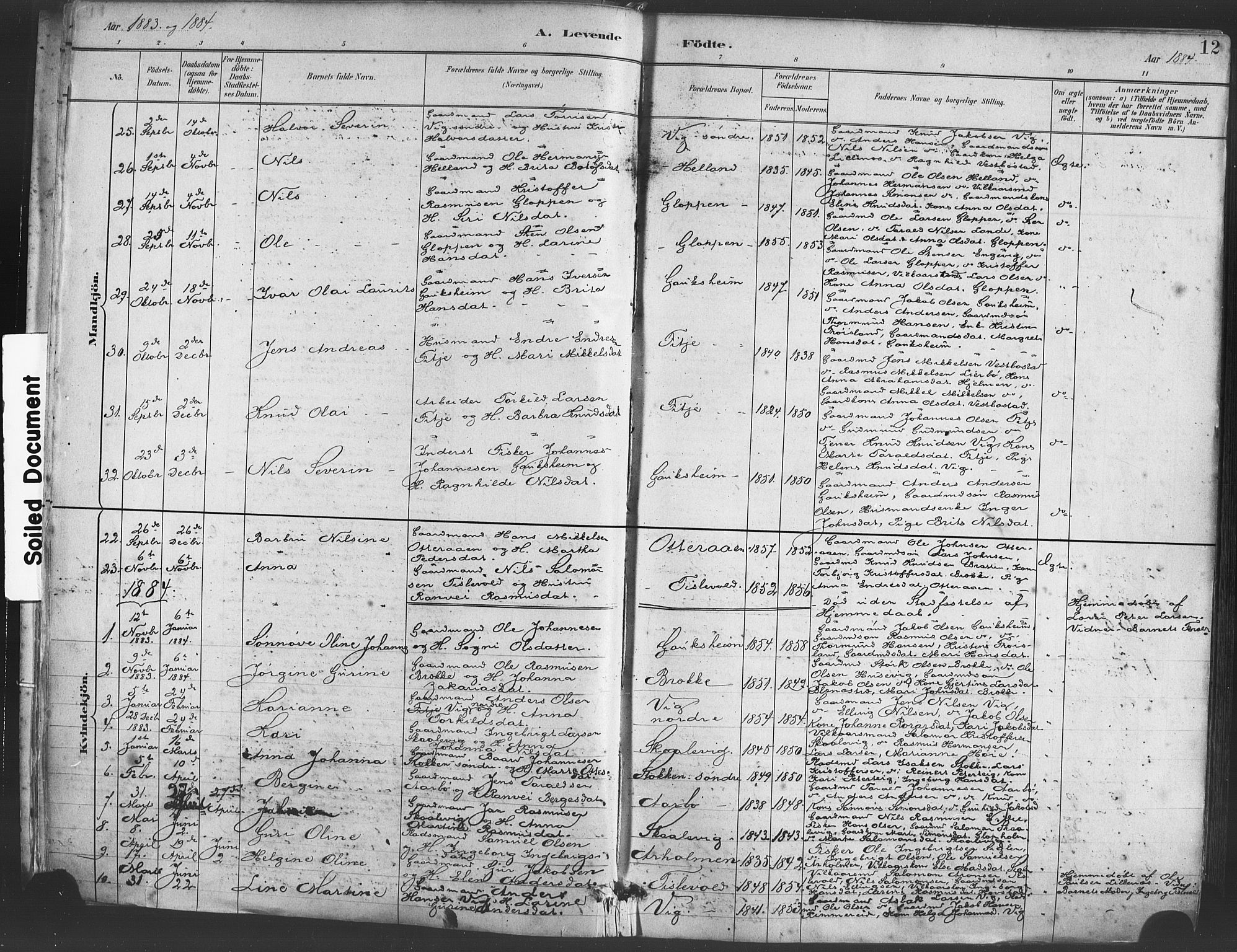 Fitjar sokneprestembete, AV/SAB-A-99926: Parish register (official) no. A 2, 1882-1899, p. 12