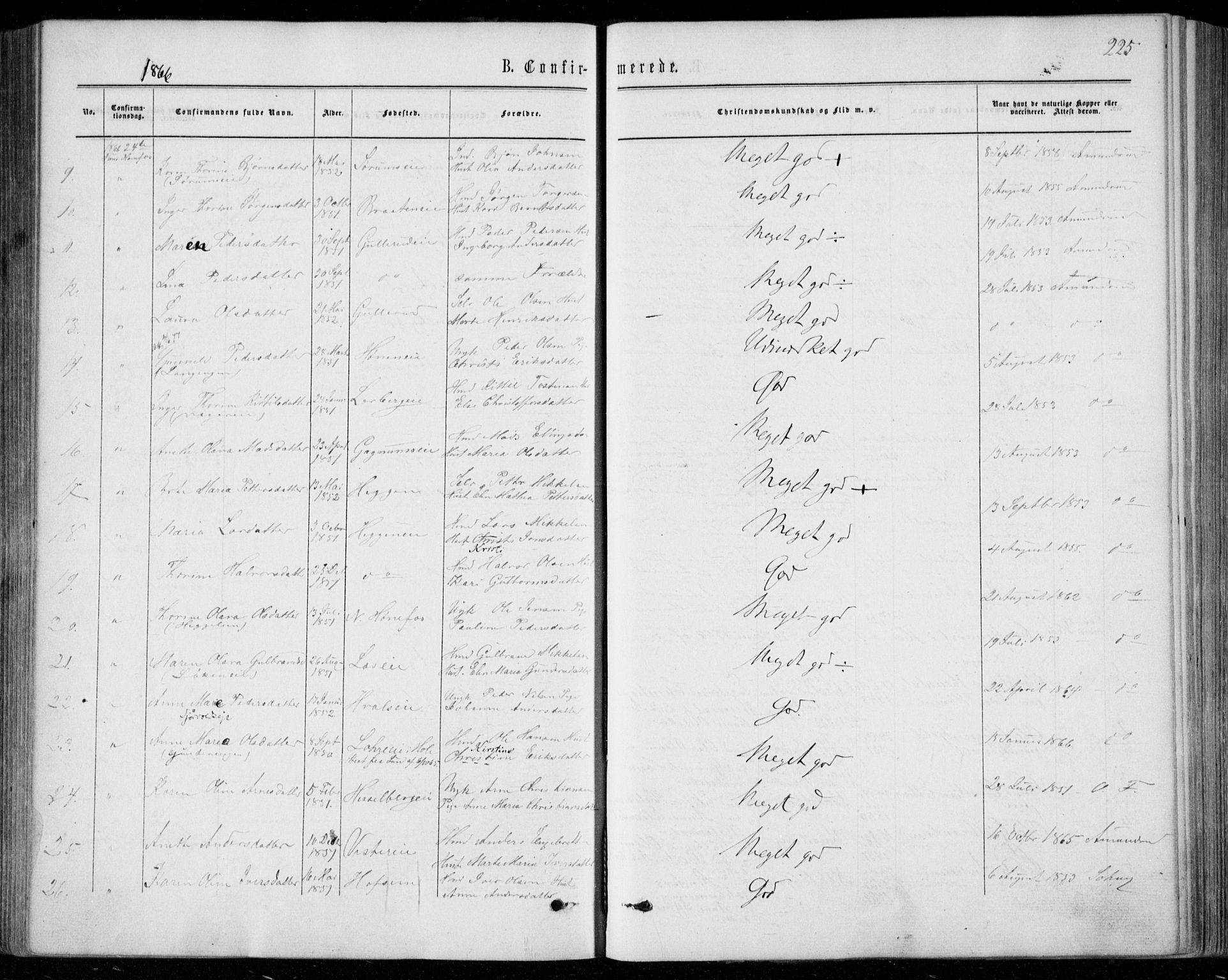 Norderhov kirkebøker, AV/SAKO-A-237/F/Fa/L0013: Parish register (official) no. 13, 1866-1874, p. 225