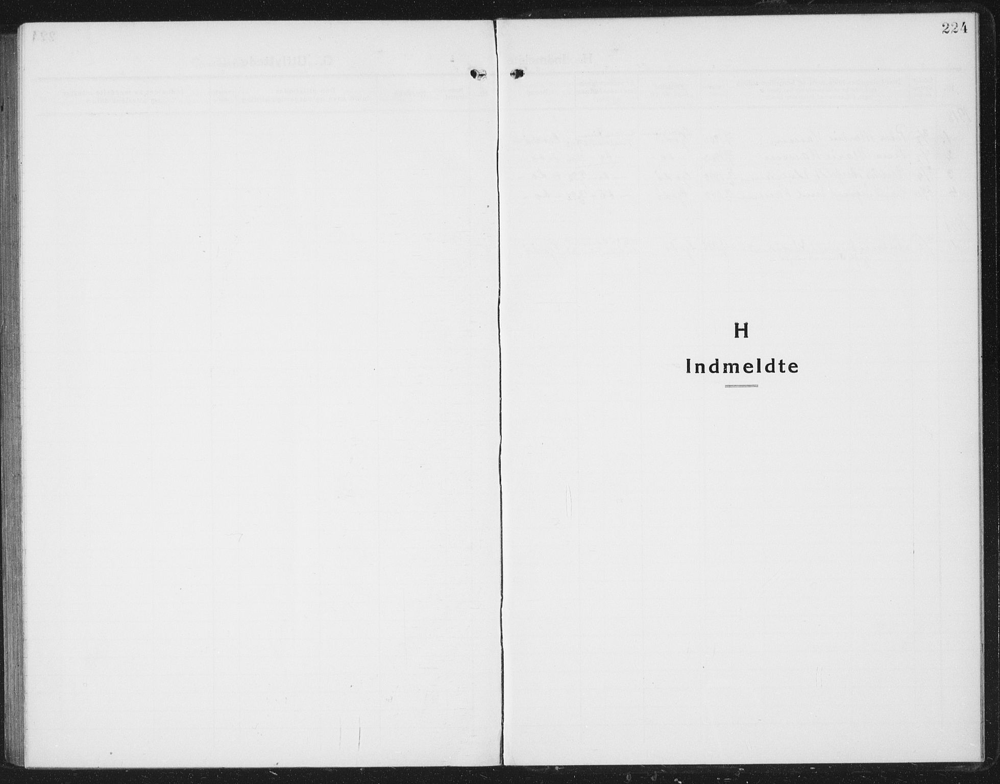 Ministerialprotokoller, klokkerbøker og fødselsregistre - Nordland, SAT/A-1459/804/L0089: Parish register (copy) no. 804C02, 1918-1935, p. 224