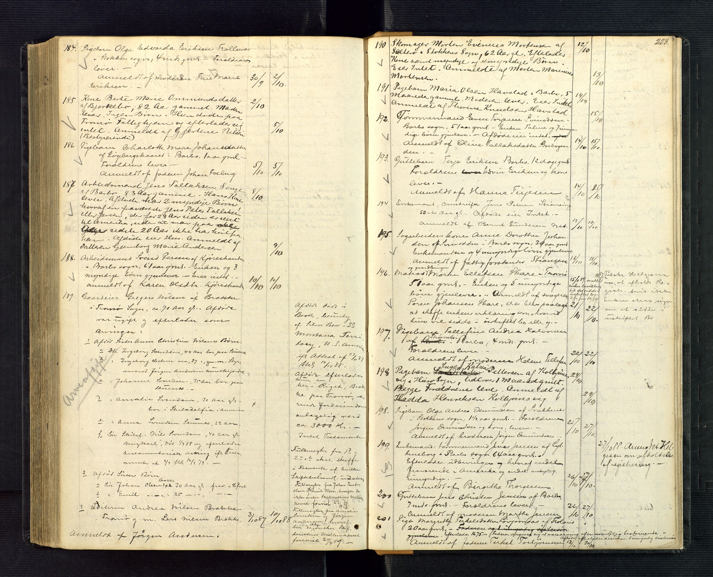 Nedenes sorenskriveri, AV/SAK-1221-0006/H/Ha/L0002: Dødsfallsfortegnelse nr 2, 1863-1889, p. 223