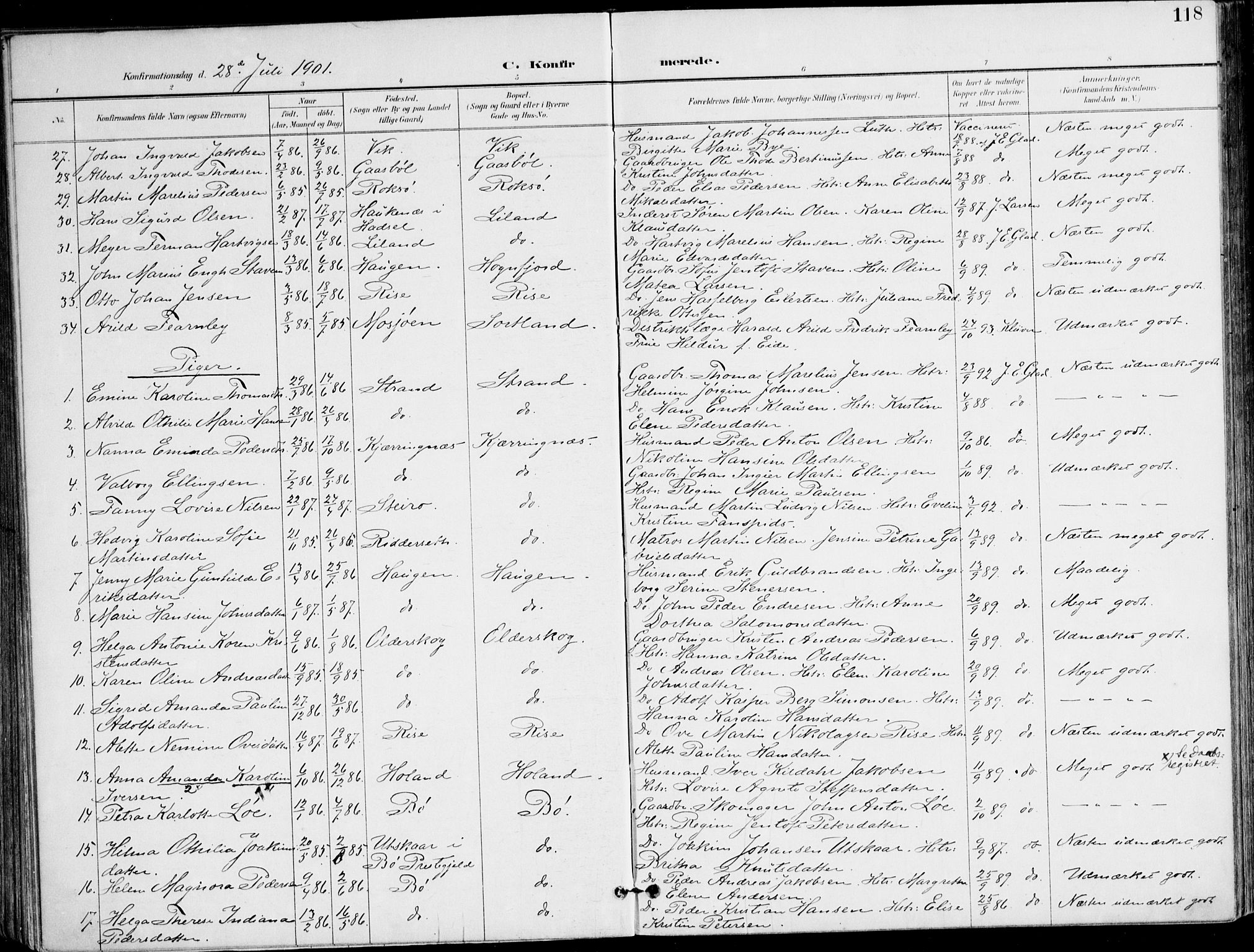 Ministerialprotokoller, klokkerbøker og fødselsregistre - Nordland, AV/SAT-A-1459/895/L1372: Parish register (official) no. 895A07, 1894-1914, p. 118