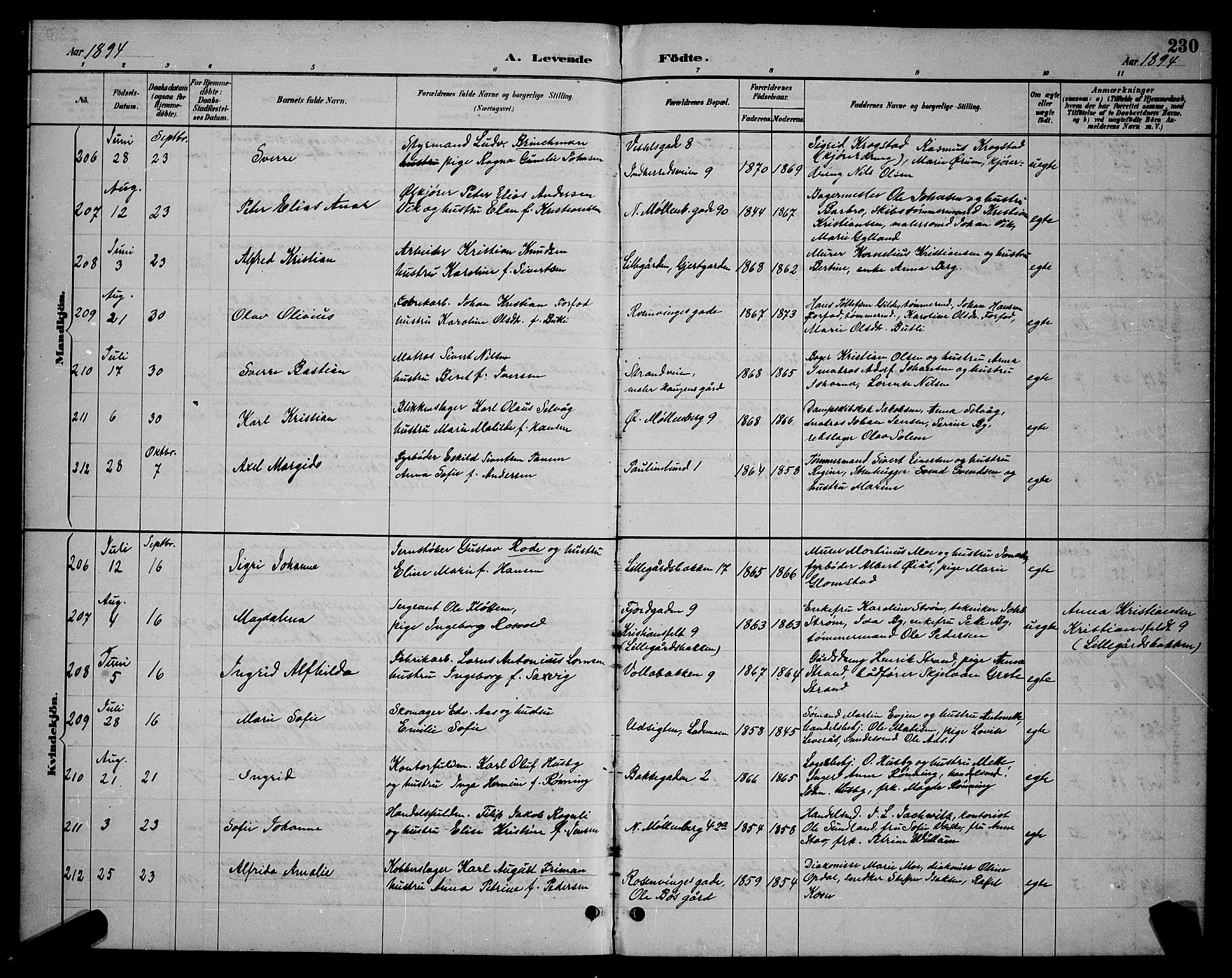 Ministerialprotokoller, klokkerbøker og fødselsregistre - Sør-Trøndelag, AV/SAT-A-1456/604/L0222: Parish register (copy) no. 604C05, 1886-1895, p. 230