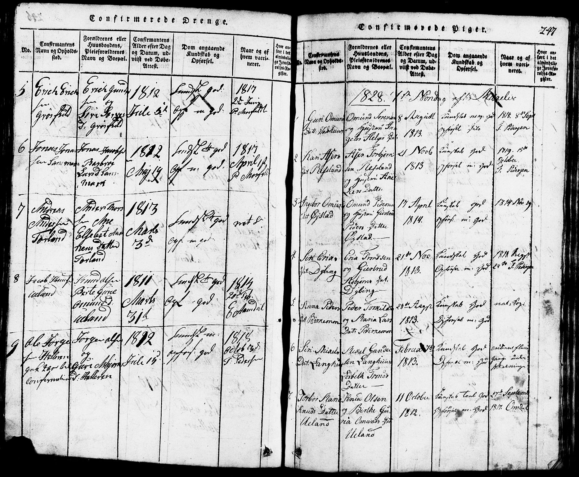 Lund sokneprestkontor, SAST/A-101809/S07/L0001: Parish register (copy) no. B 1, 1815-1853, p. 247