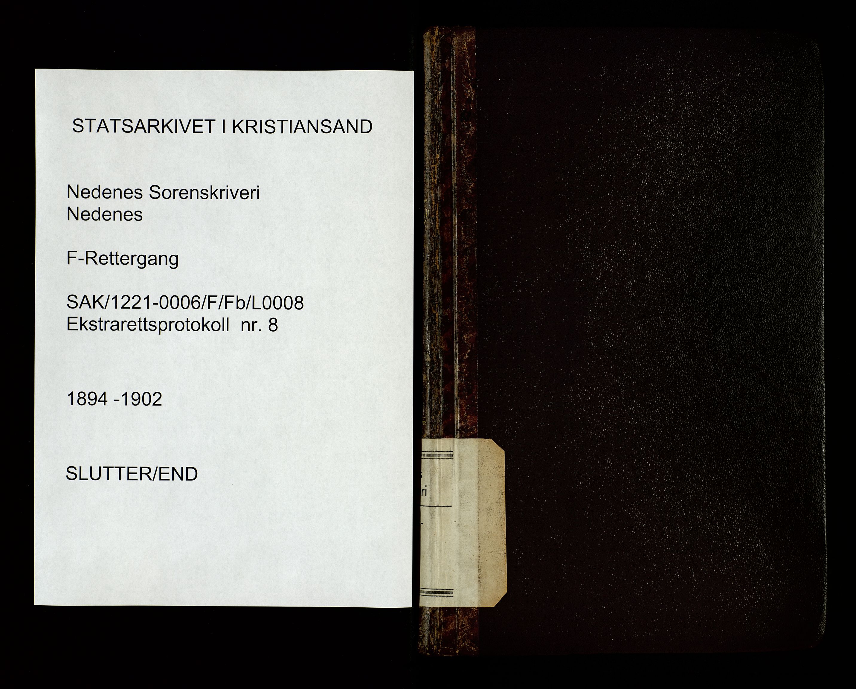 Nedenes sorenskriveri, SAK/1221-0006/F/Fb/L0008: Ekstrarettsprotokoll nr 8, 1894-1902