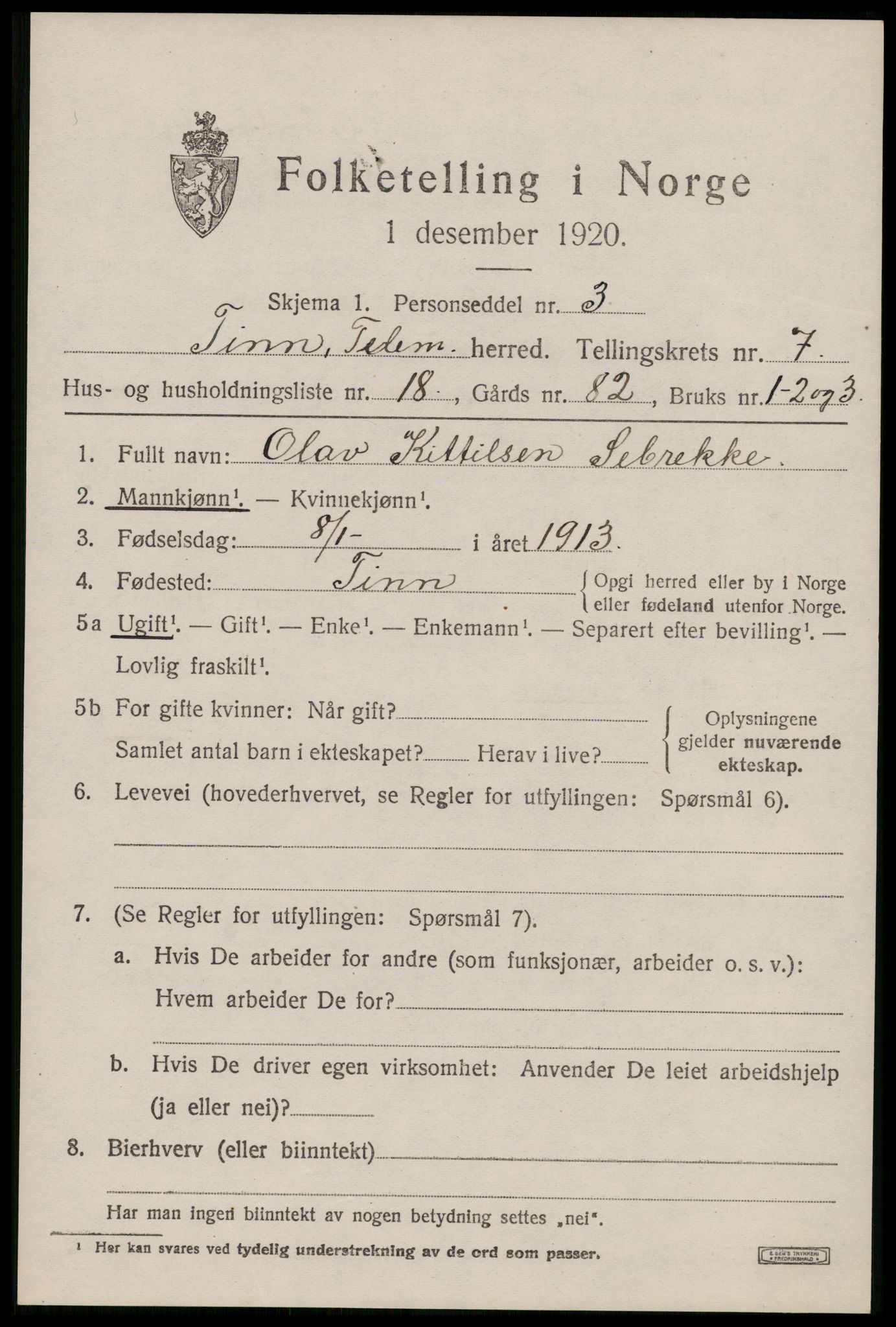 SAKO, 1920 census for Tinn, 1920, p. 5038