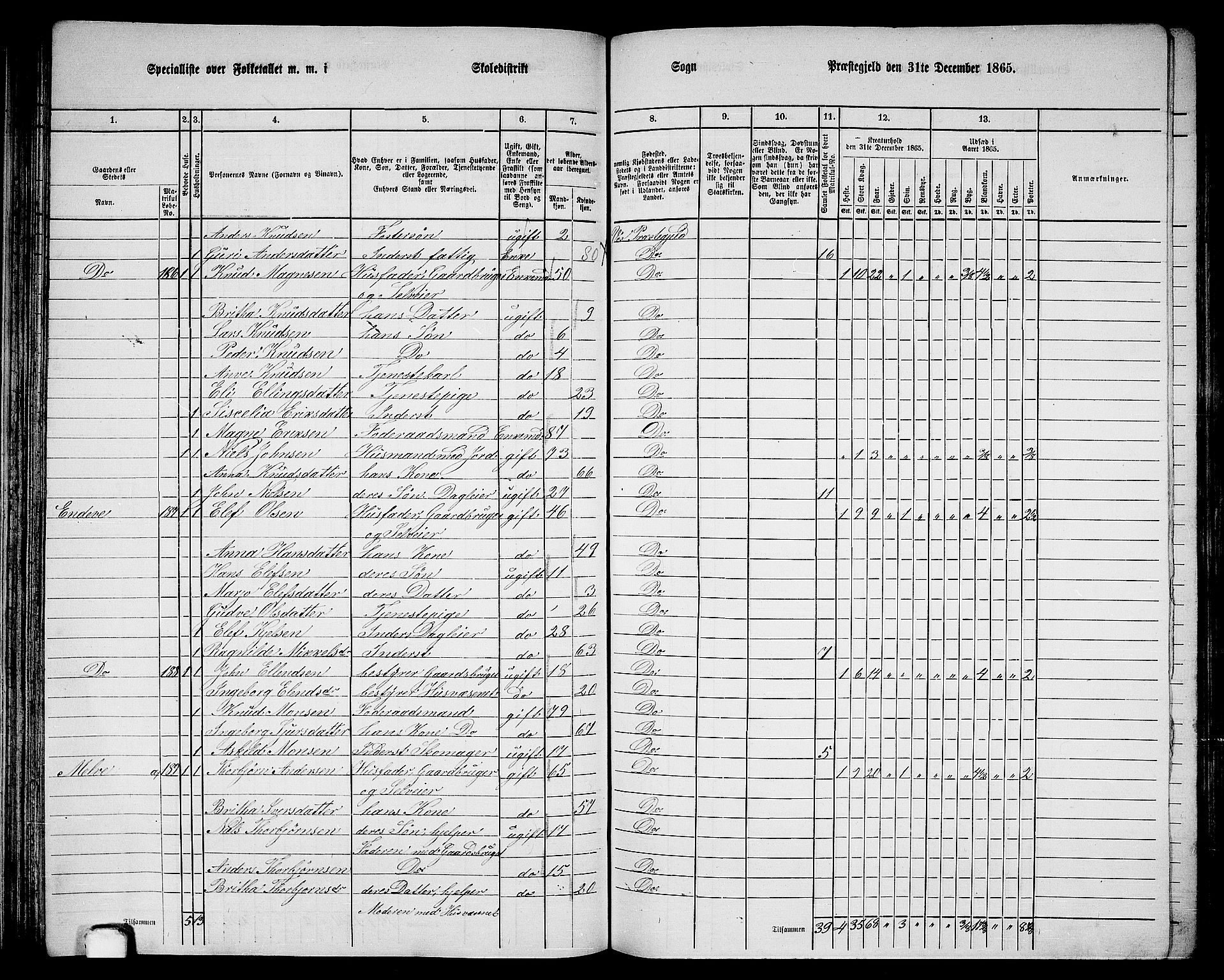 RA, 1865 census for Voss, 1865, p. 101