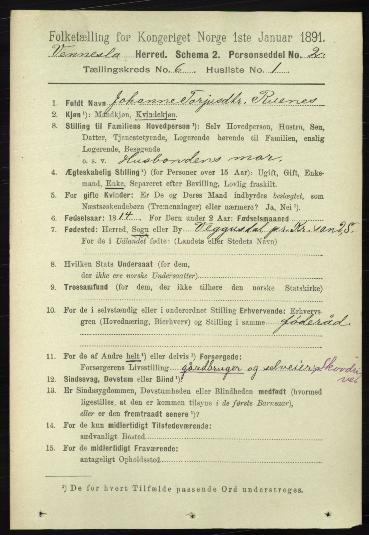 RA, 1891 census for 1014 Vennesla, 1891, p. 1594