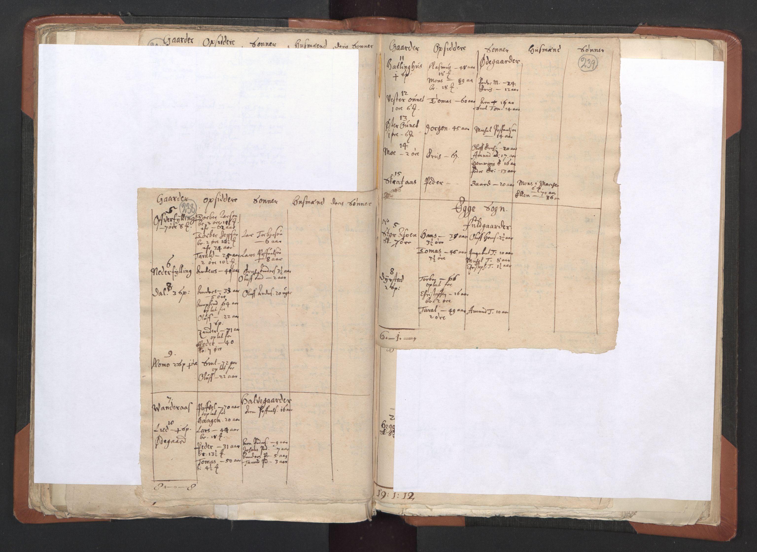 RA, Vicar's Census 1664-1666, no. 33: Innherad deanery, 1664-1666, p. 238-239