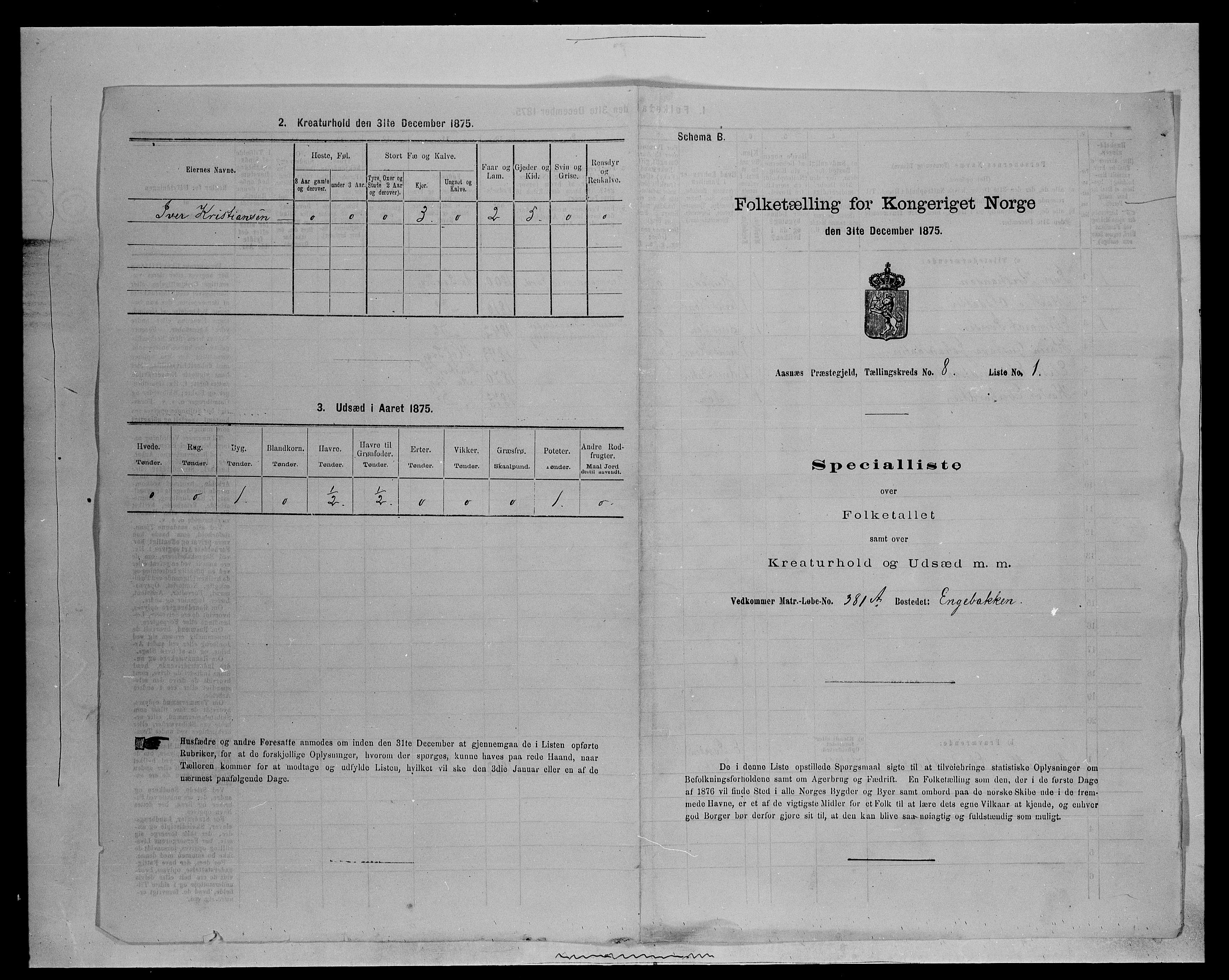 SAH, 1875 census for 0425P Åsnes, 1875, p. 1181