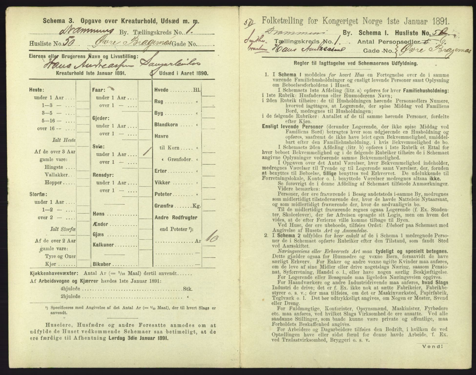 RA, 1891 census for 0602 Drammen, 1891, p. 195