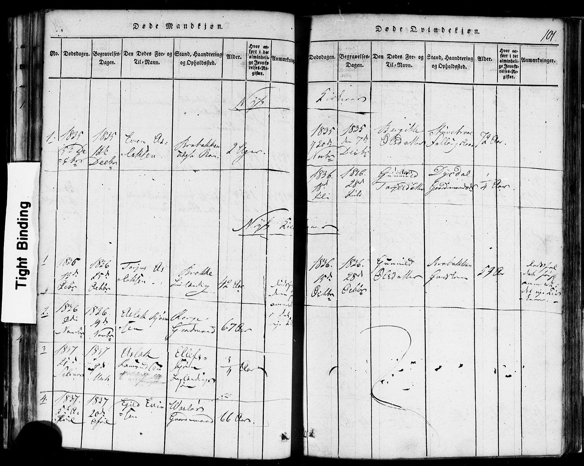 Rauland kirkebøker, AV/SAKO-A-292/F/Fa/L0002: Parish register (official) no. I 2, 1815-1860, p. 101