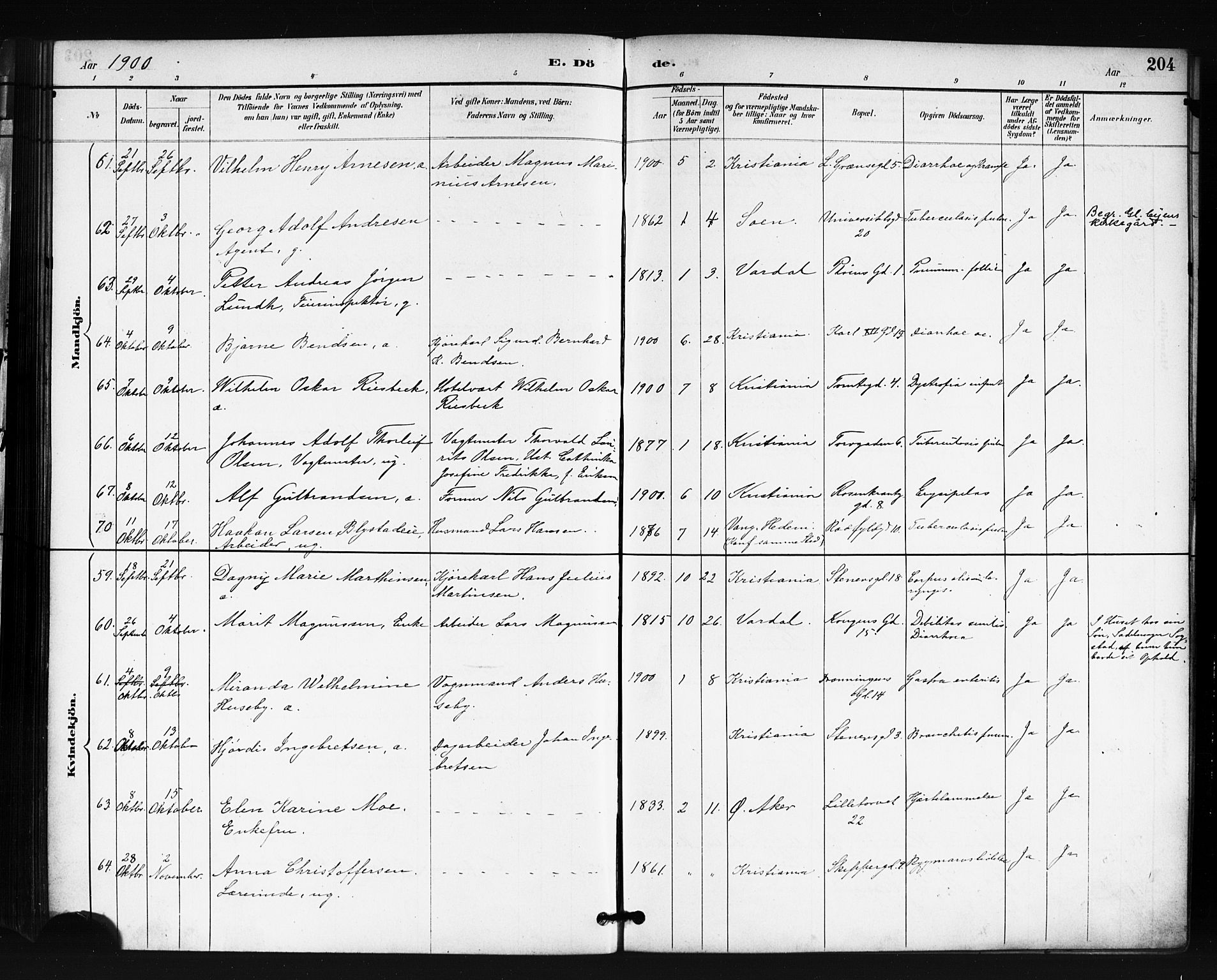 Oslo domkirke Kirkebøker, AV/SAO-A-10752/F/Fa/L0035: Parish register (official) no. 35, 1885-1901, p. 204