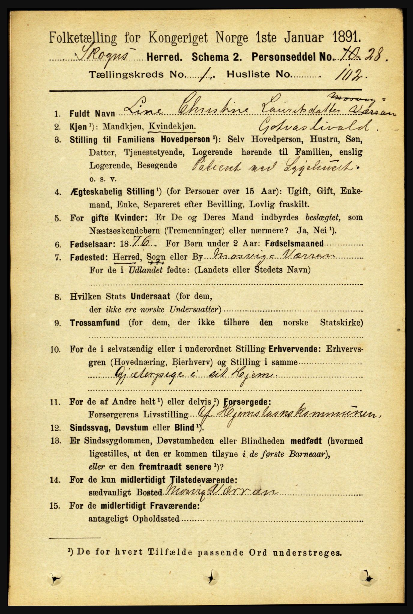 RA, 1891 census for 1719 Skogn, 1891, p. 743
