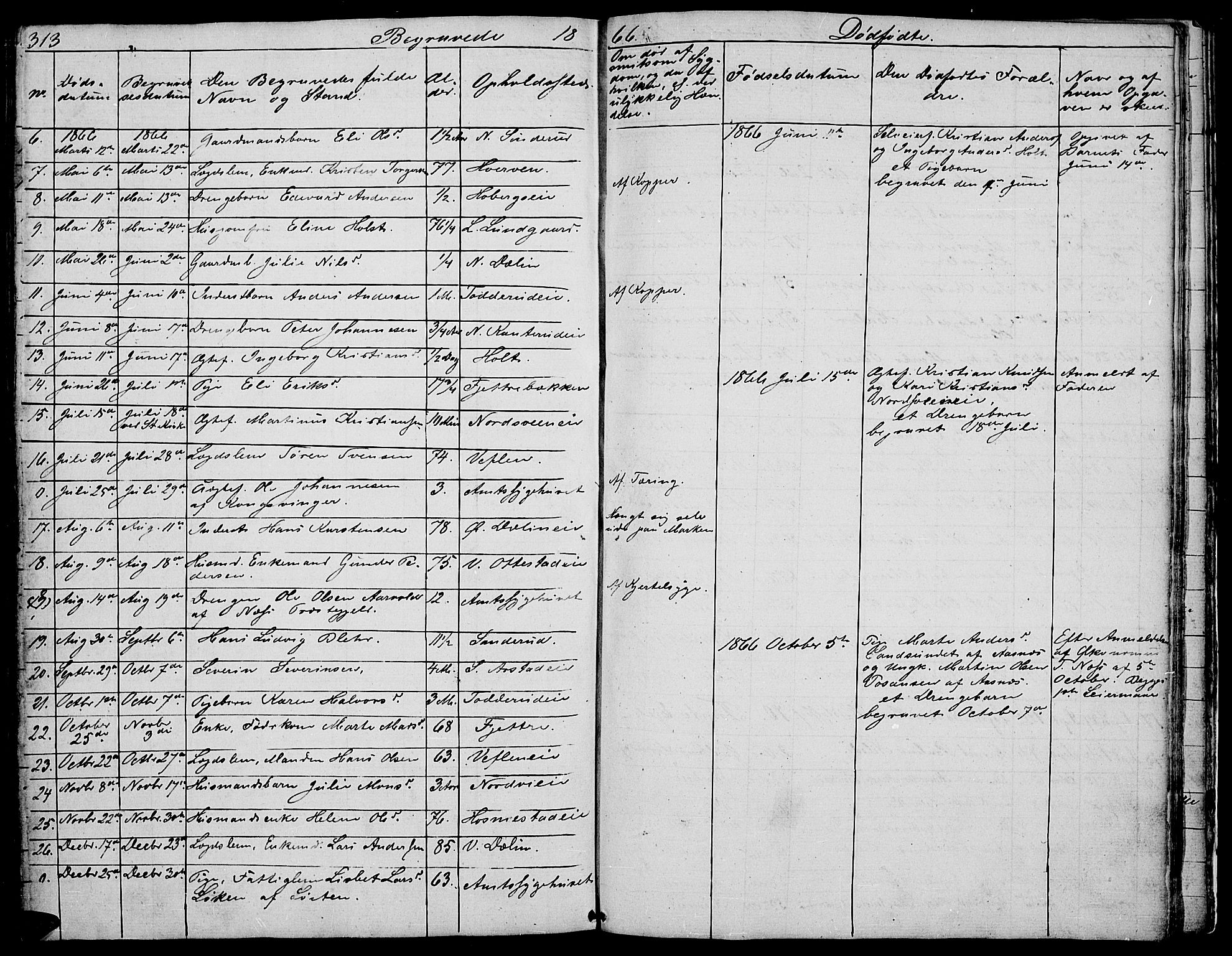 Stange prestekontor, AV/SAH-PREST-002/L/L0002: Parish register (copy) no. 2, 1838-1879, p. 313