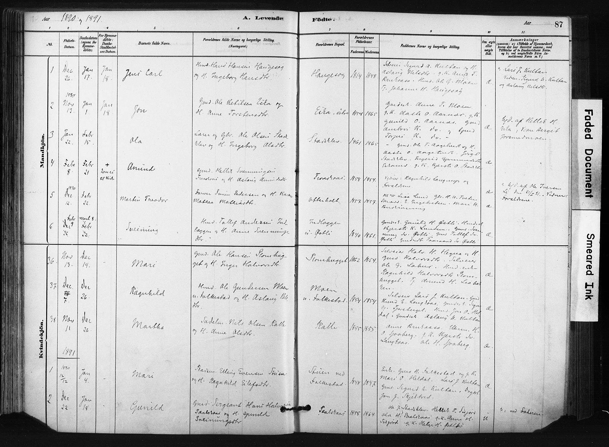 Bø kirkebøker, SAKO/A-257/F/Fa/L0010: Parish register (official) no. 10, 1880-1892, p. 87