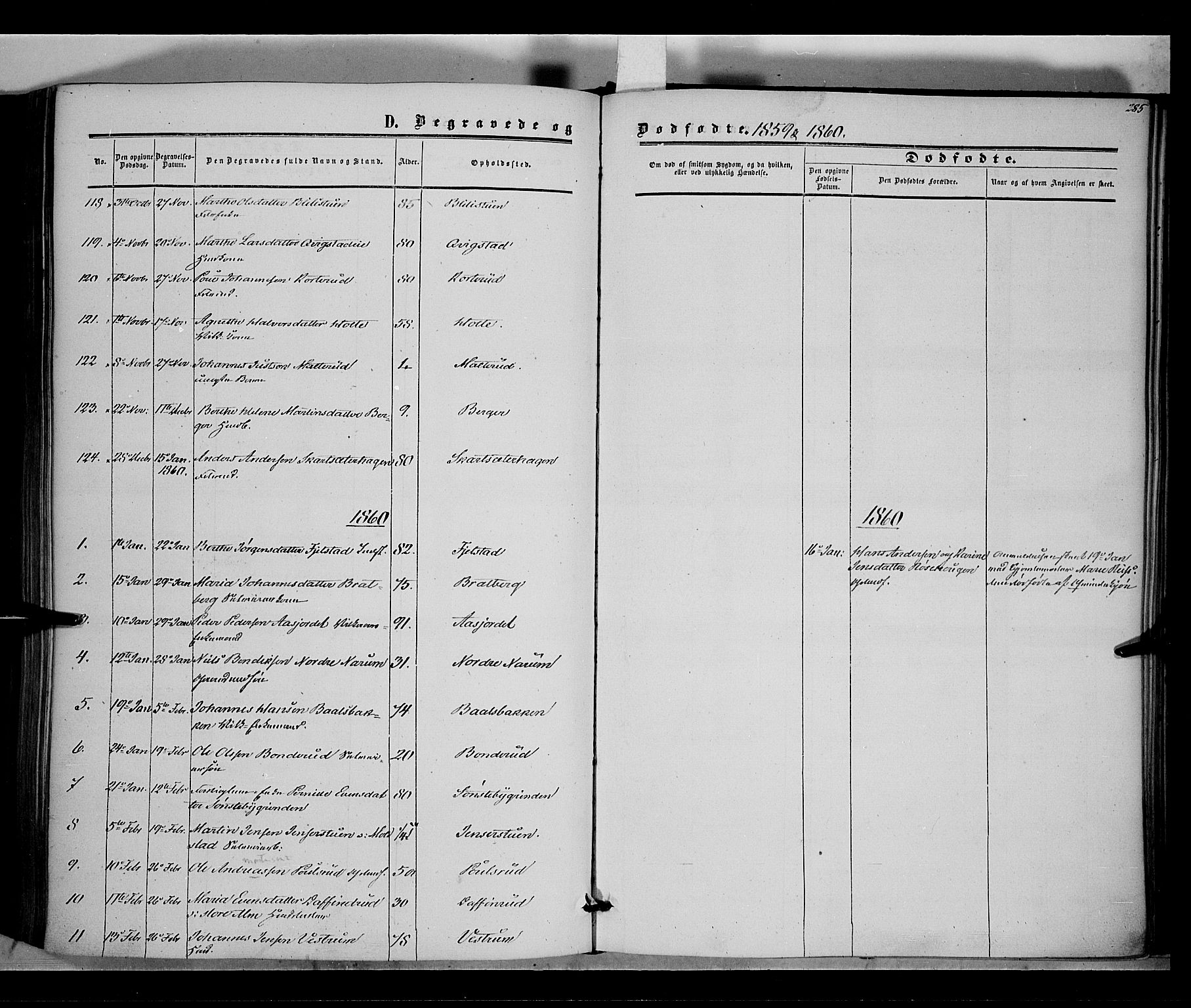 Vestre Toten prestekontor, SAH/PREST-108/H/Ha/Haa/L0006: Parish register (official) no. 6, 1856-1861, p. 285