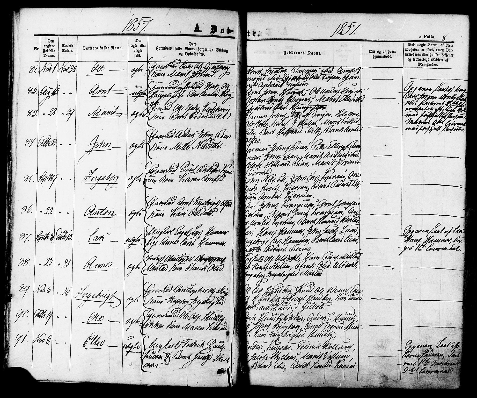 Ministerialprotokoller, klokkerbøker og fødselsregistre - Sør-Trøndelag, AV/SAT-A-1456/665/L0772: Parish register (official) no. 665A07, 1856-1878, p. 8