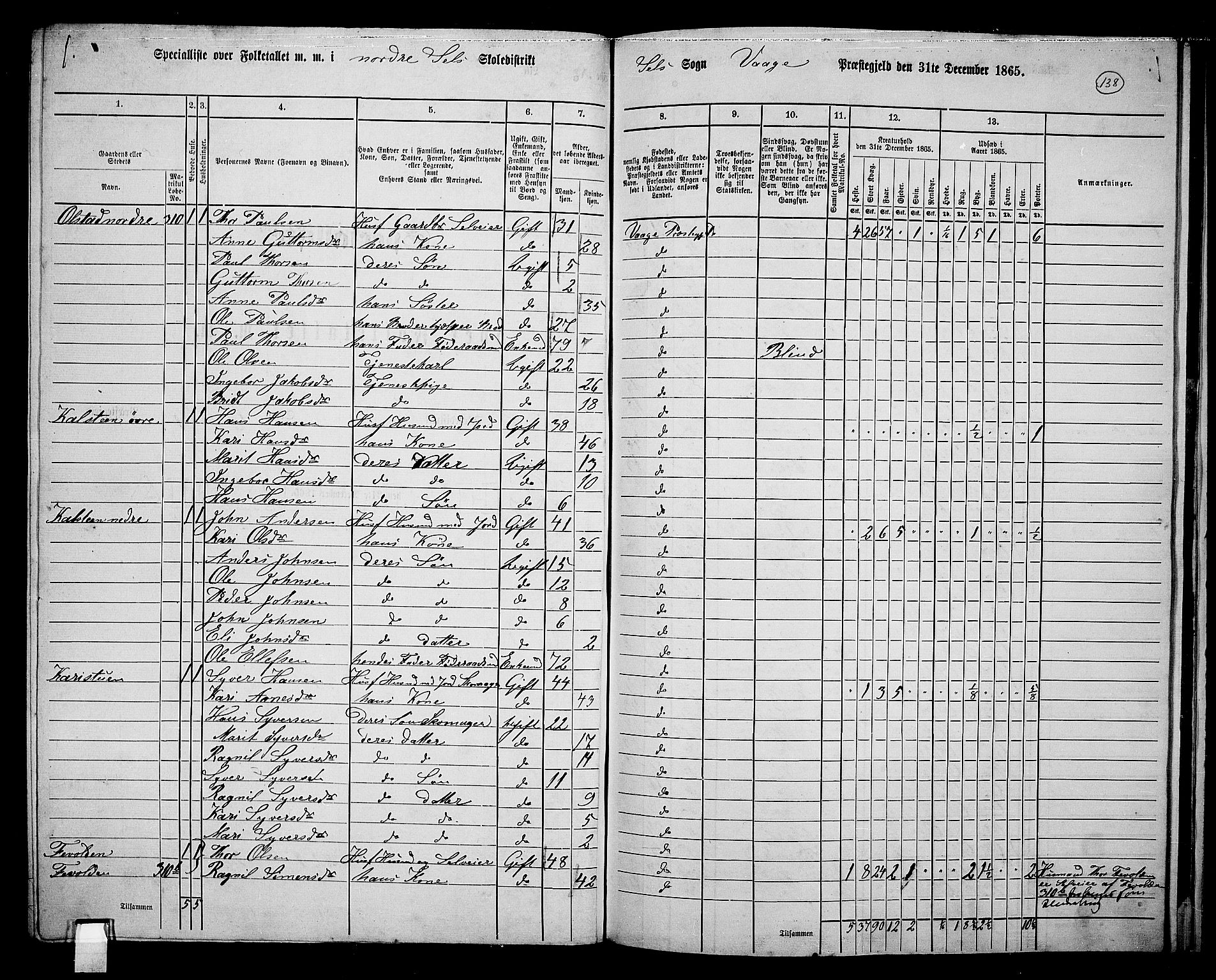 RA, 1865 census for Vågå, 1865, p. 294