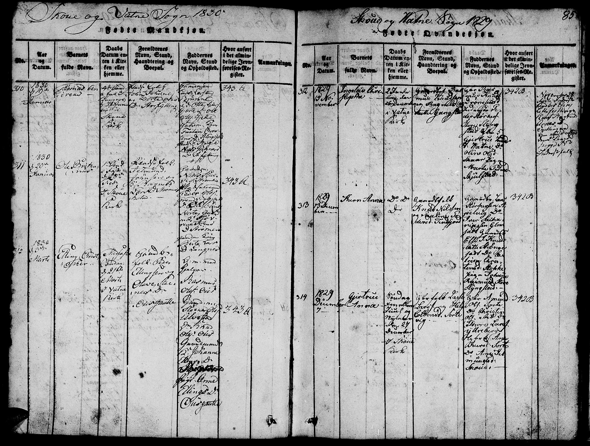 Ministerialprotokoller, klokkerbøker og fødselsregistre - Møre og Romsdal, AV/SAT-A-1454/524/L0360: Parish register (copy) no. 524C01, 1816-1830, p. 85