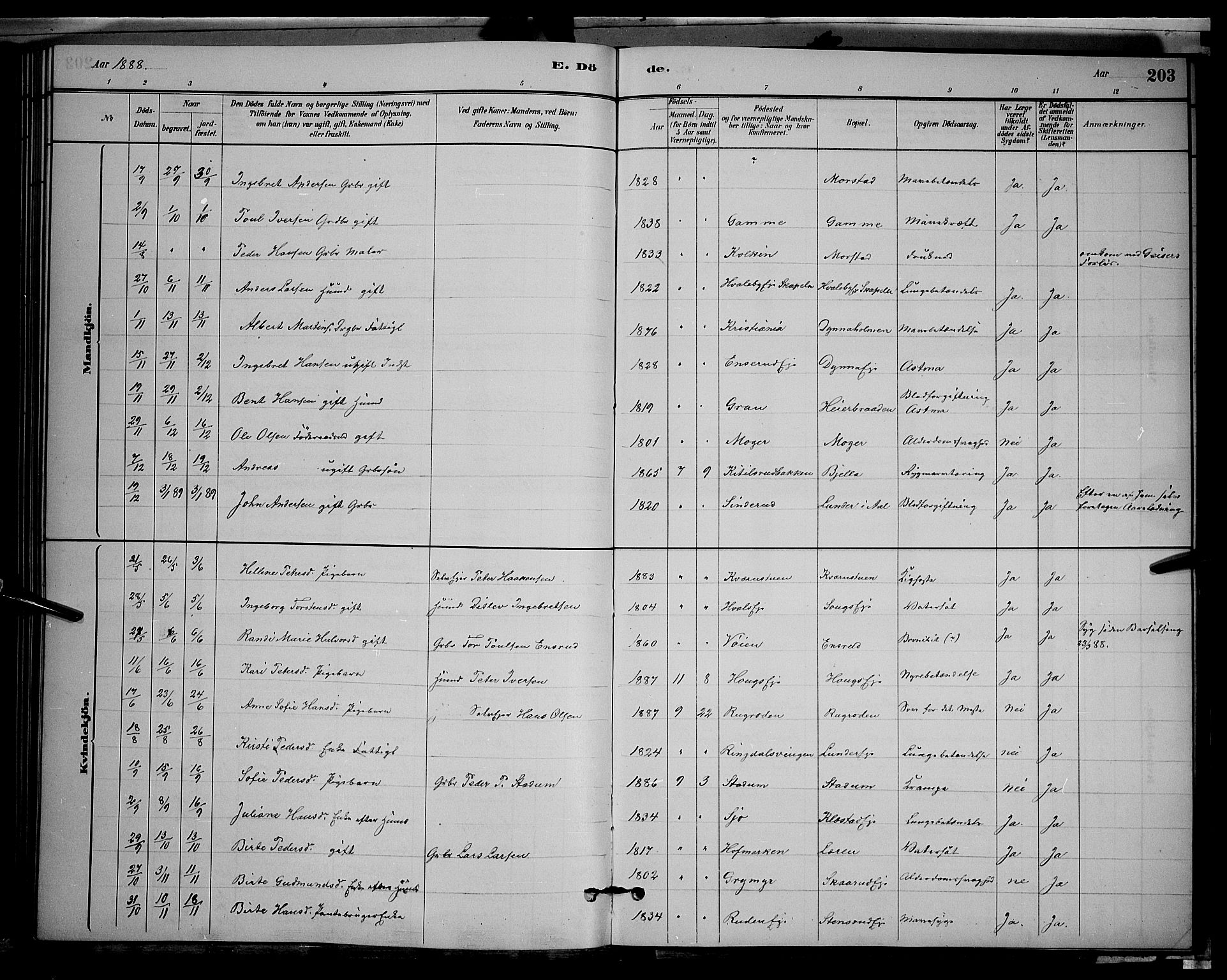 Gran prestekontor, SAH/PREST-112/H/Ha/Hab/L0002: Parish register (copy) no. 2, 1879-1892, p. 203